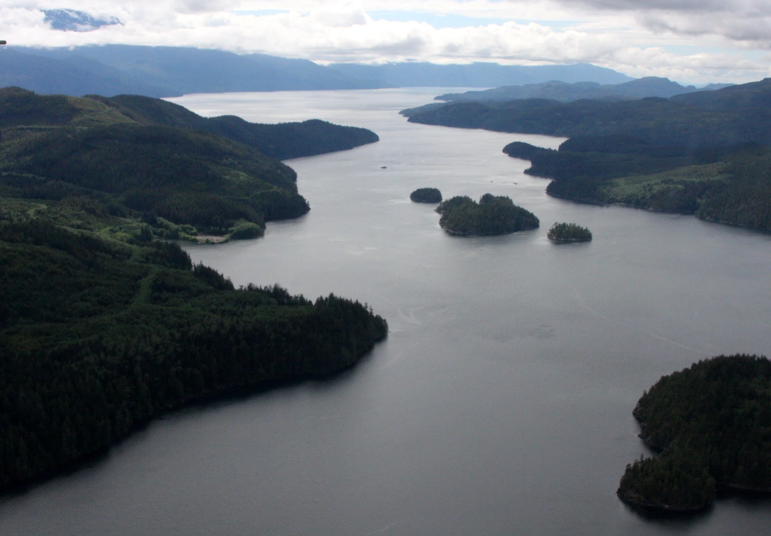 British Columbia - Knight Inlet! — Coke Smith Wildlife