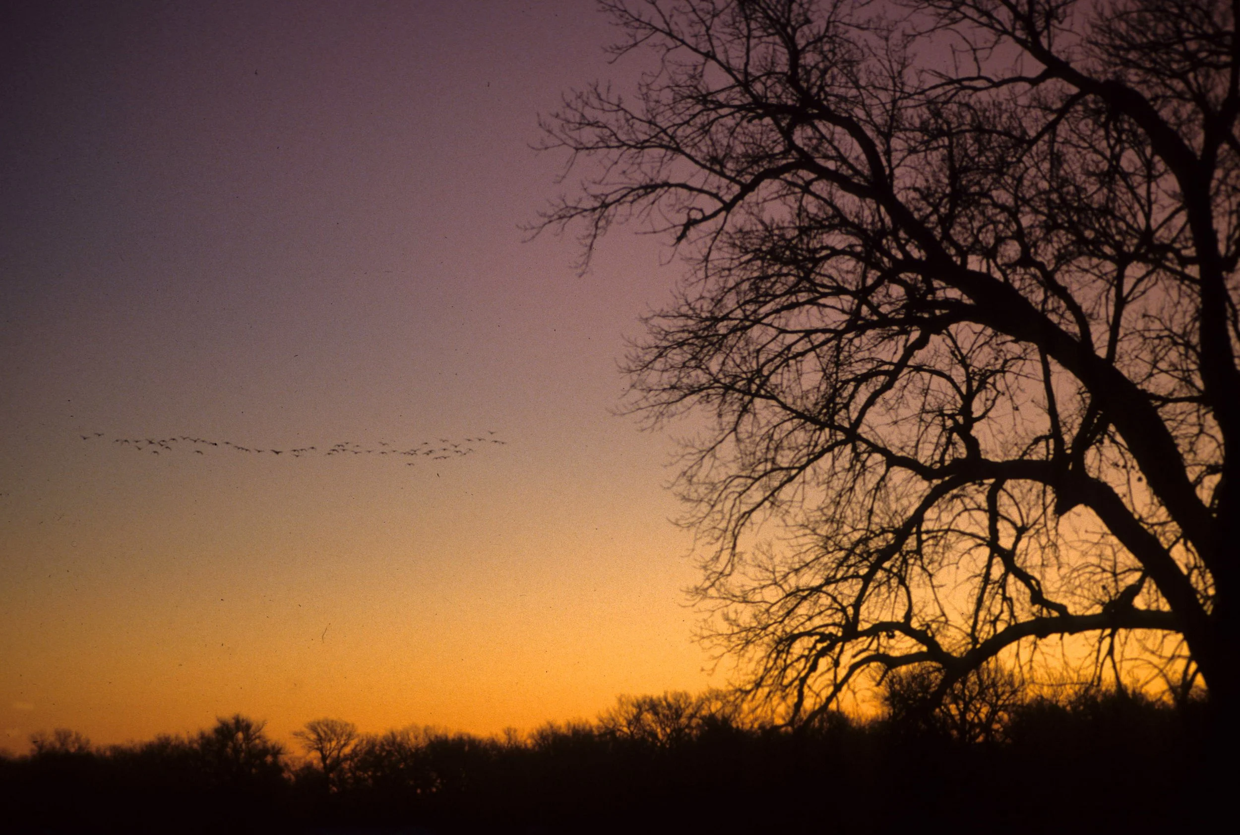 NEBRASKA - SUNRISE.jpg