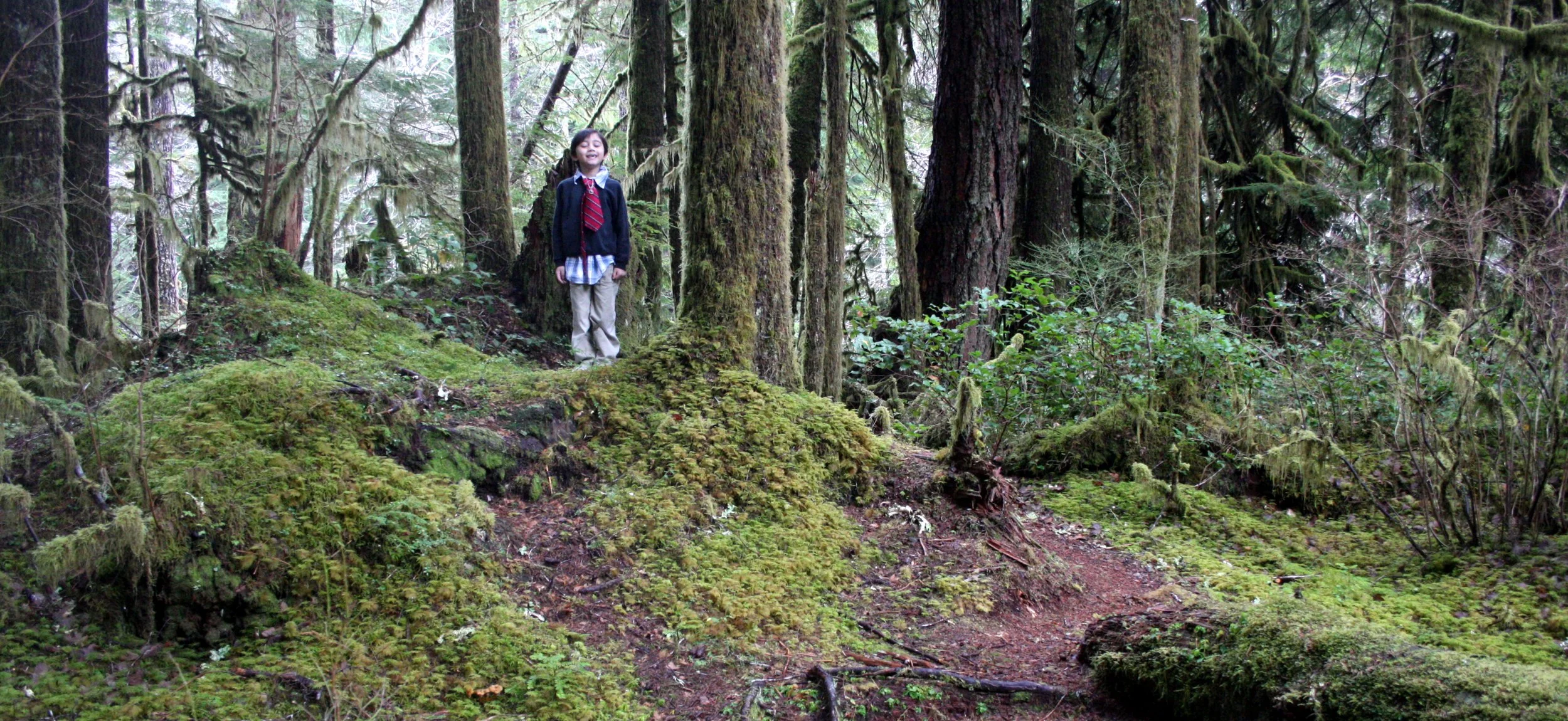 SOL DUC FALLS AND FOREST - ONP WA (15).JPG
