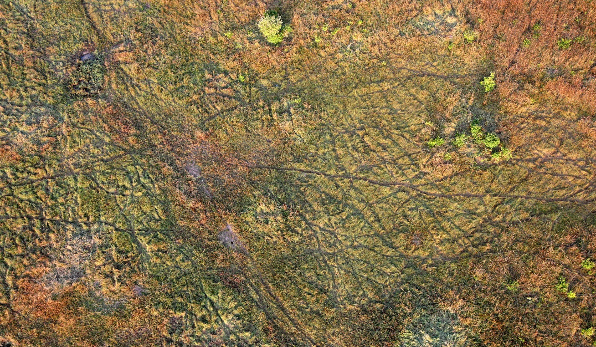 MASAI MARA NATIONAL PARK KENYA (106).JPG