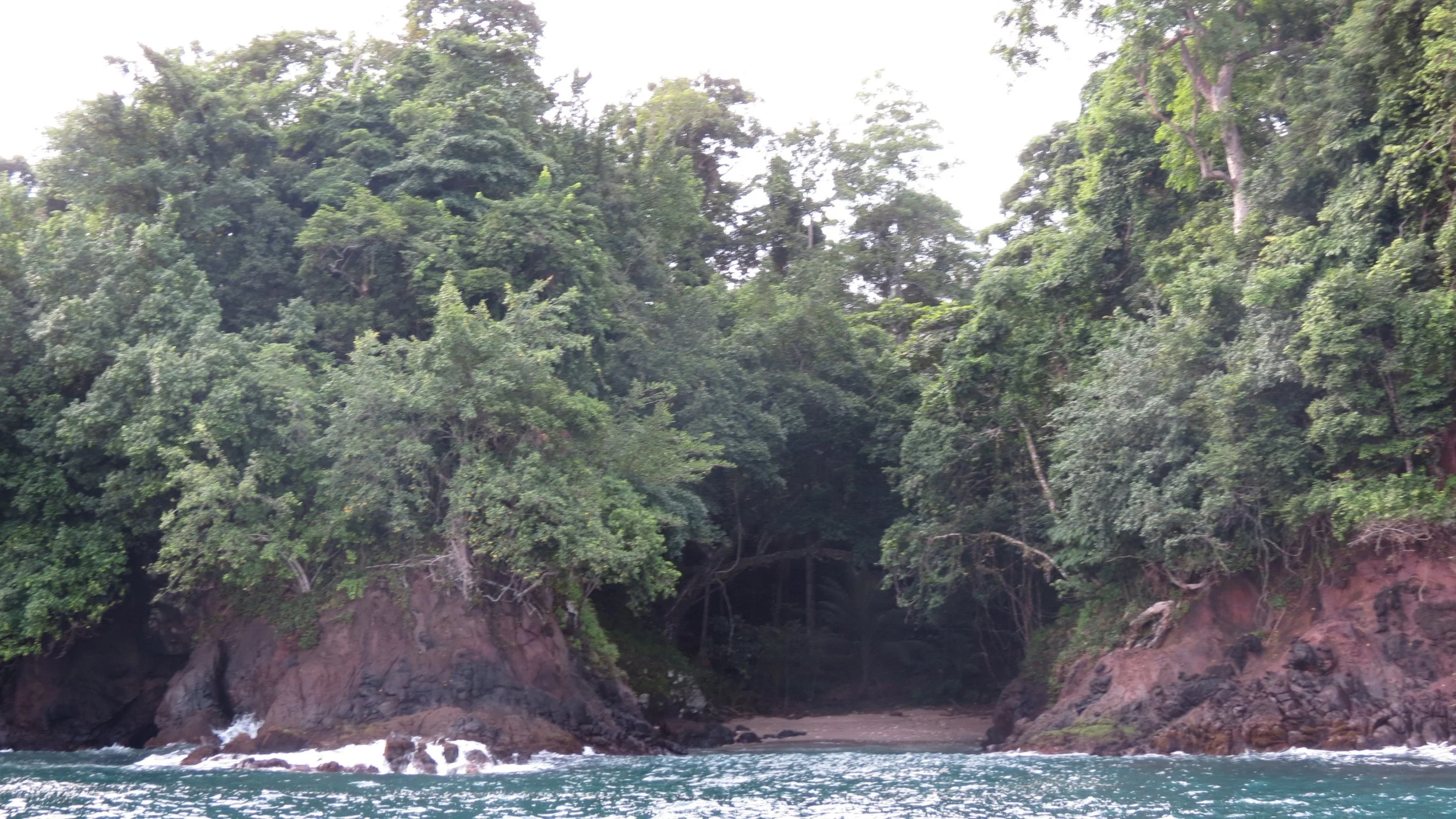 TANGKOKO NATIONAL PARK, SULAWESI INDONESIA  (26).JPG