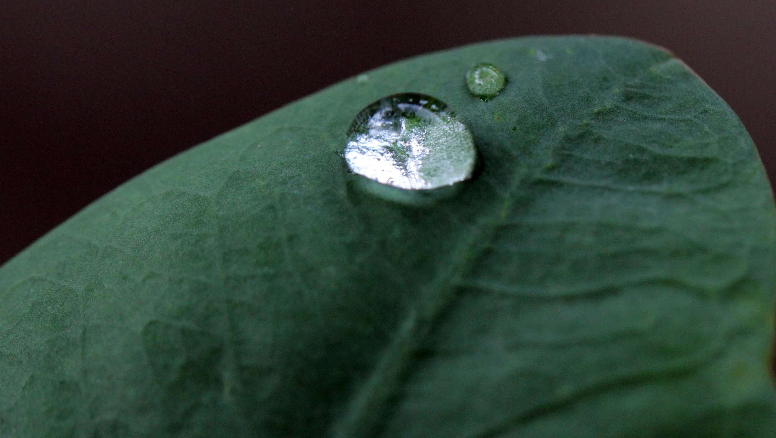 2013 in Nakhonsithammarat and some Krabi with Family (61).JPG