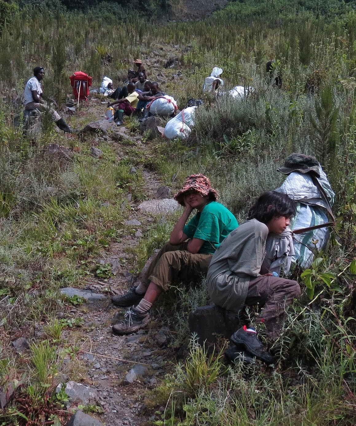 RWENZORI NATIONAL PARK UGANDA (88).JPG