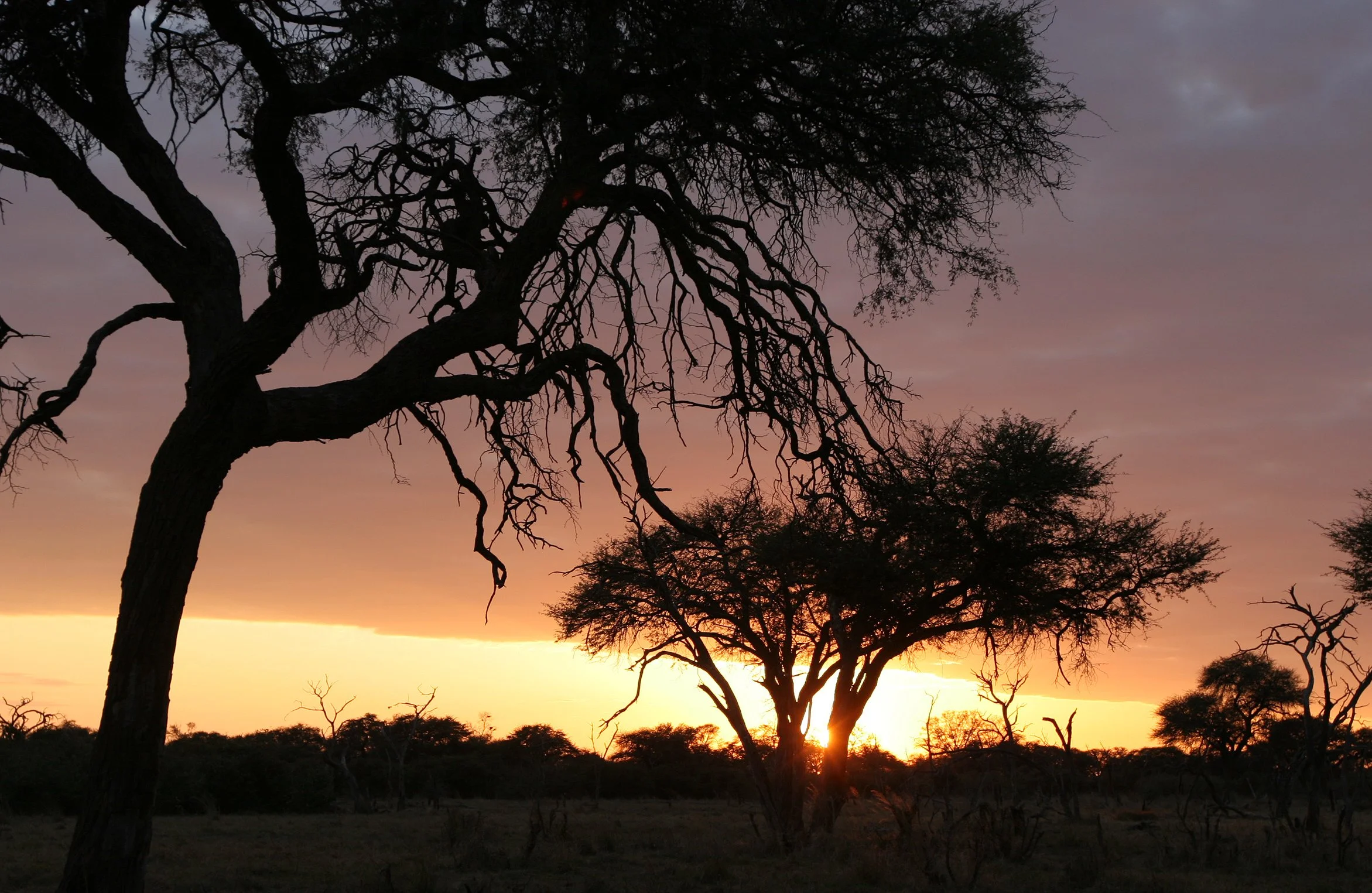BOTSWANA - KHWAI CAMP SUNRISE - OKAVANGO (3).JPG