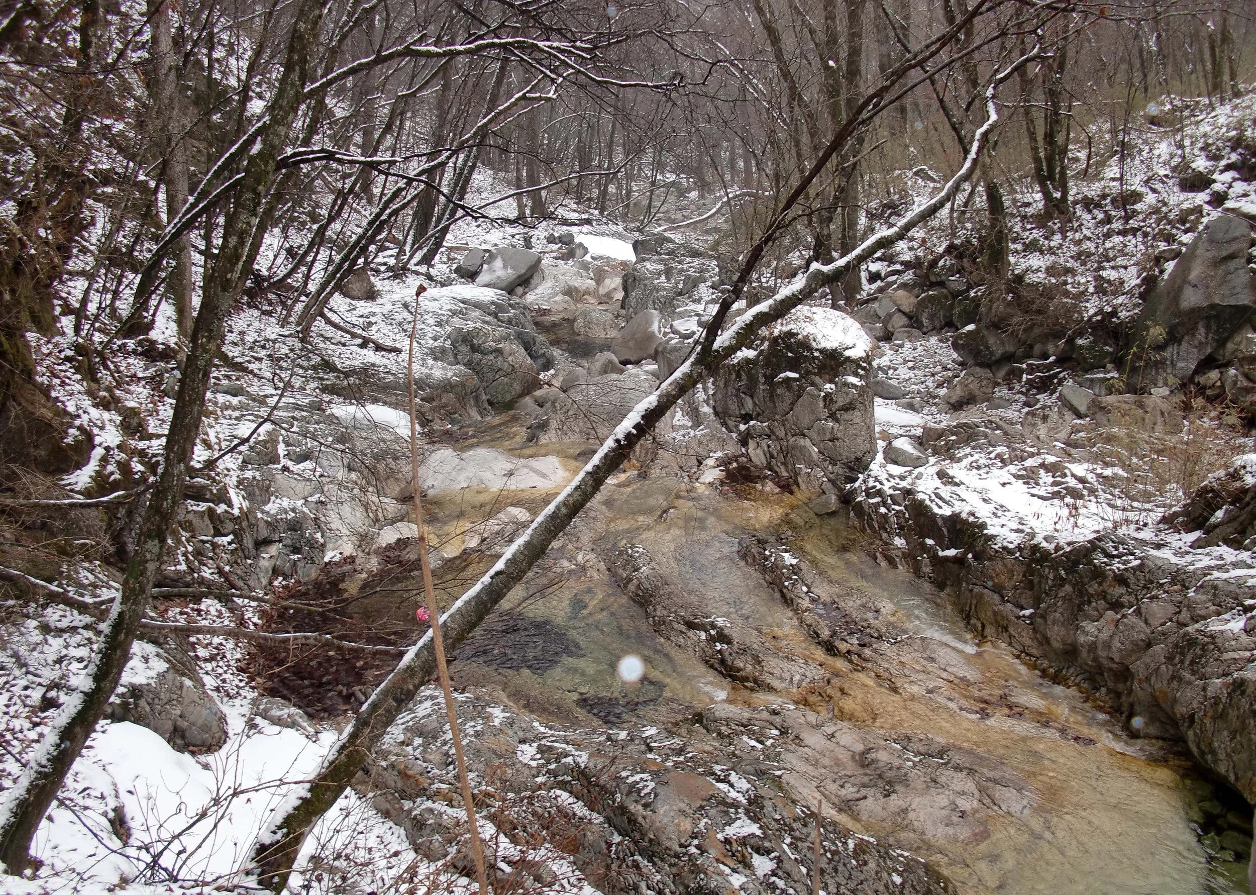 FOPING NATURE RESERVE - SHAANXI PROVINCE CHINA (25).JPG