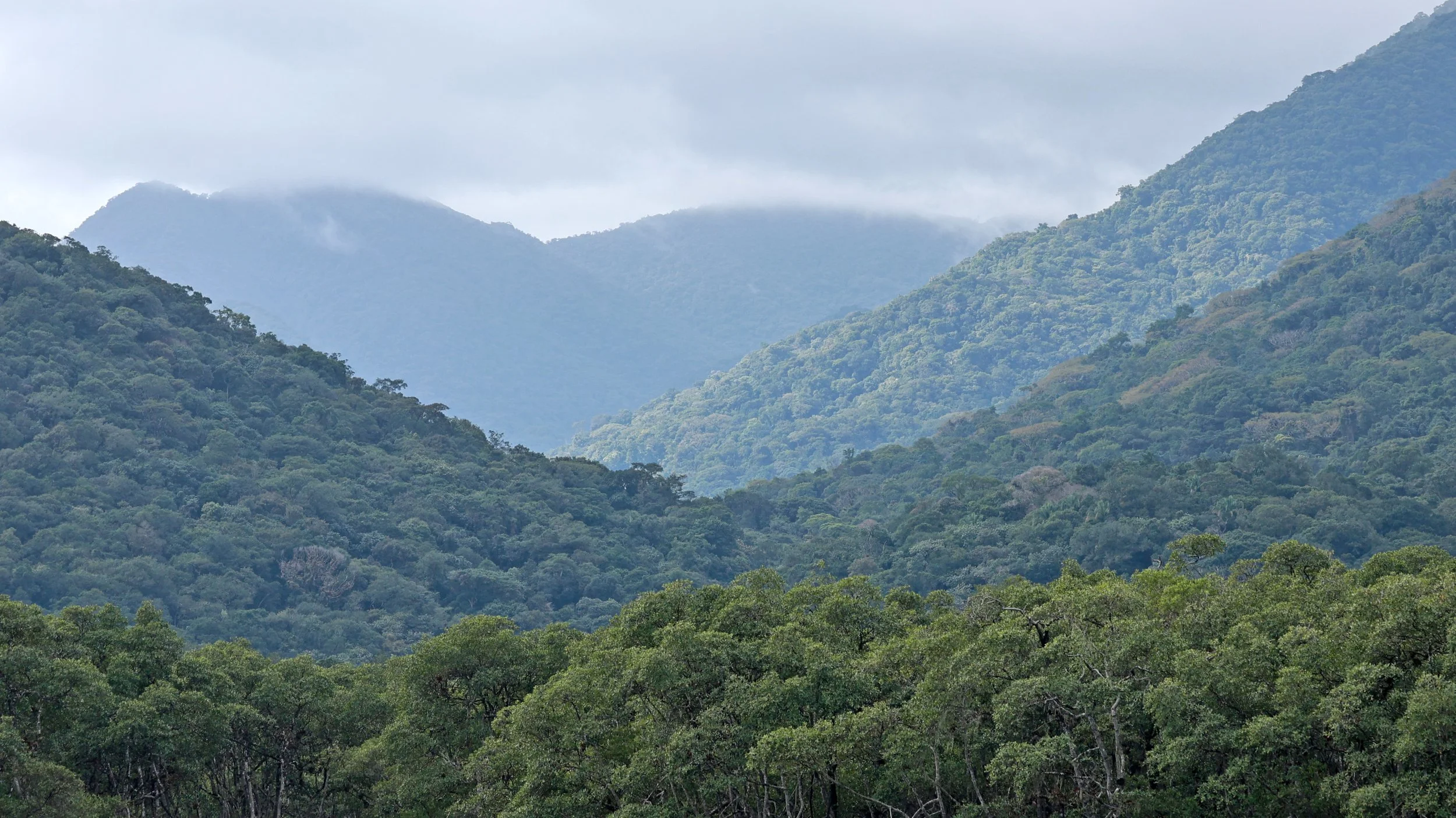 Superagüi National Park