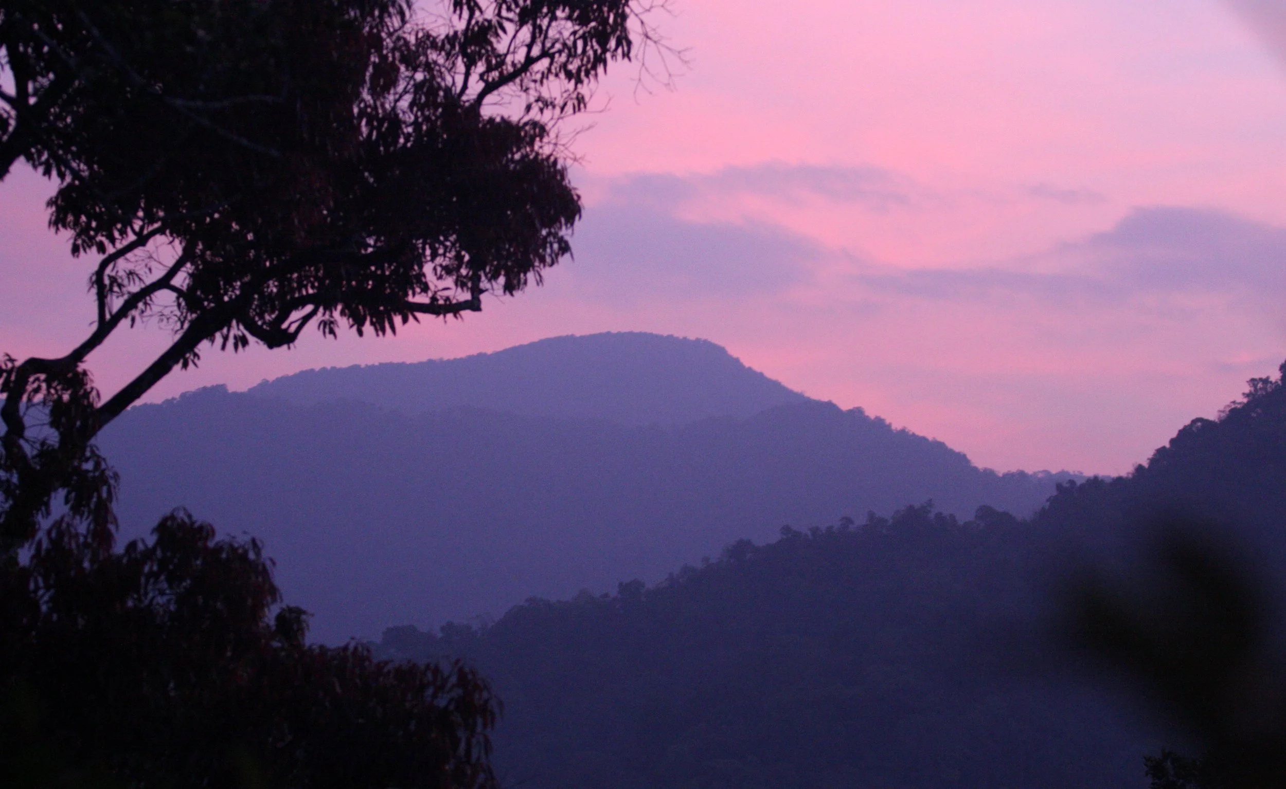 KAENG KRACHAN NATIONAL PARK THAILAND - FOREST SCENES (39).JPG