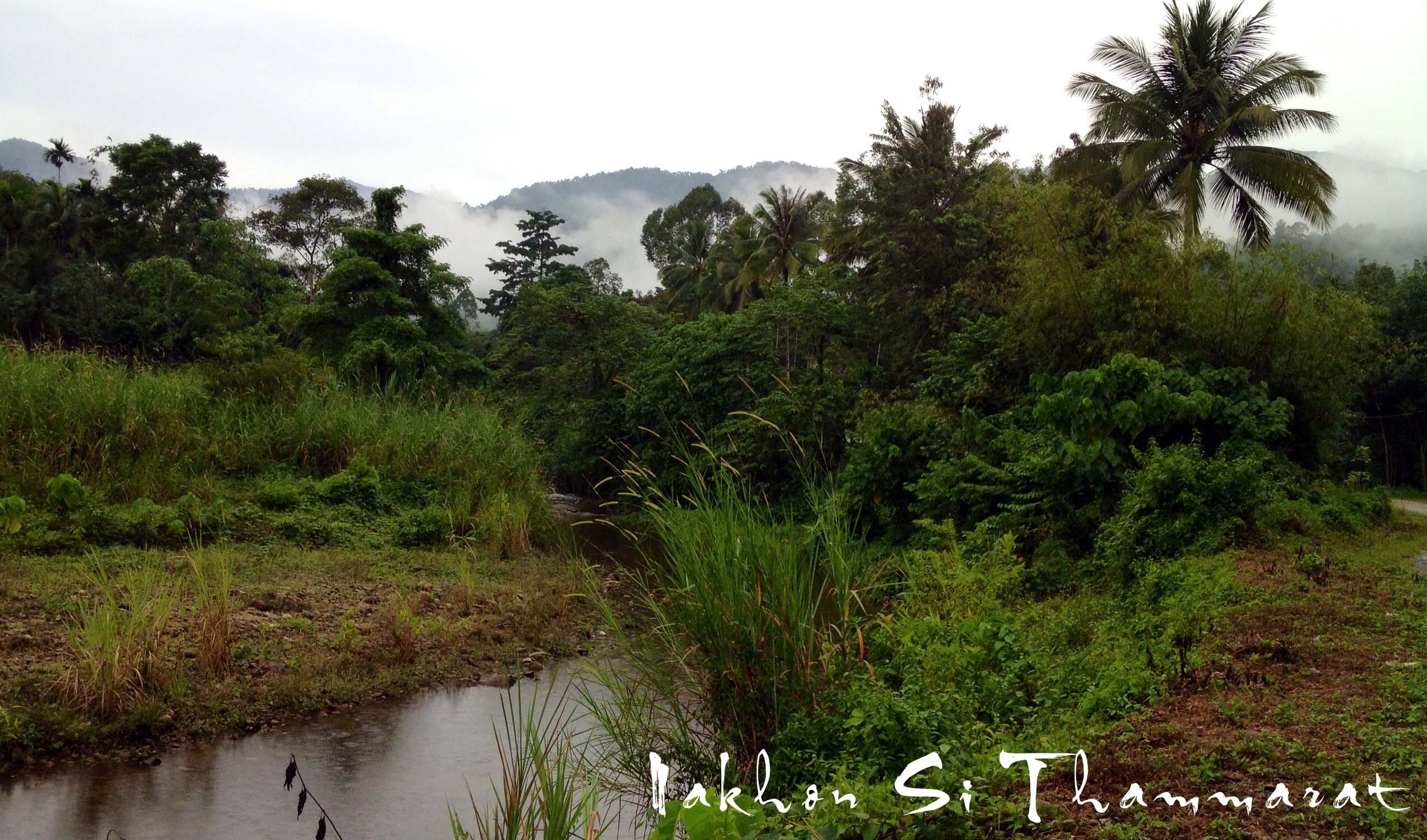 2013 in Nakhonsithammarat and some Krabi with Family (267).JPG