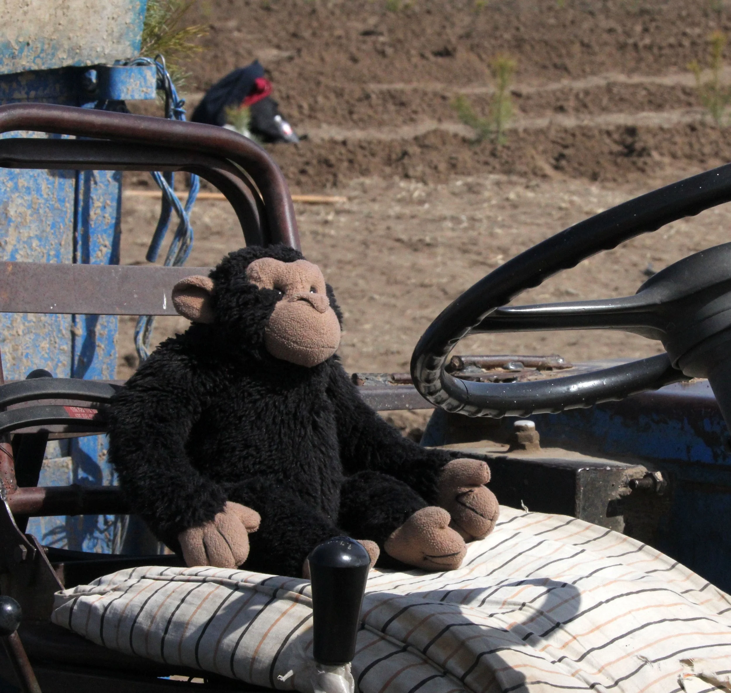 INNER MONGOLIA 2013 (92).JPG