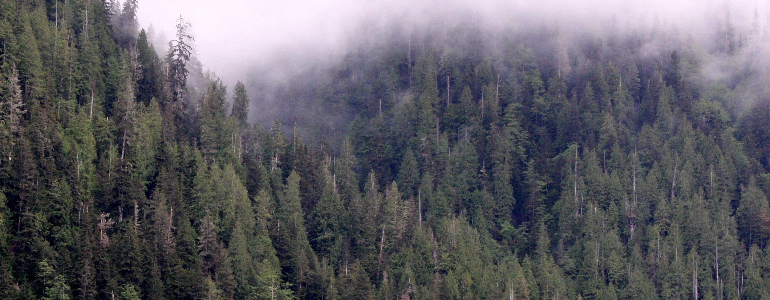 KNIGHT'S INLET BRITISH COLUMBIA (24).JPG