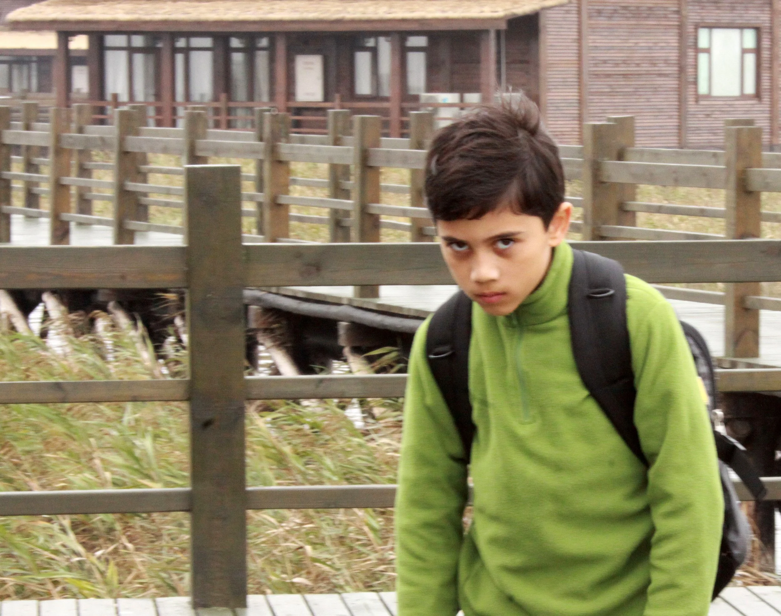 CHONGMING ISLAND DONGTAN WETLANDS RESERVE FIELD TRIP 2011 (75).JPG