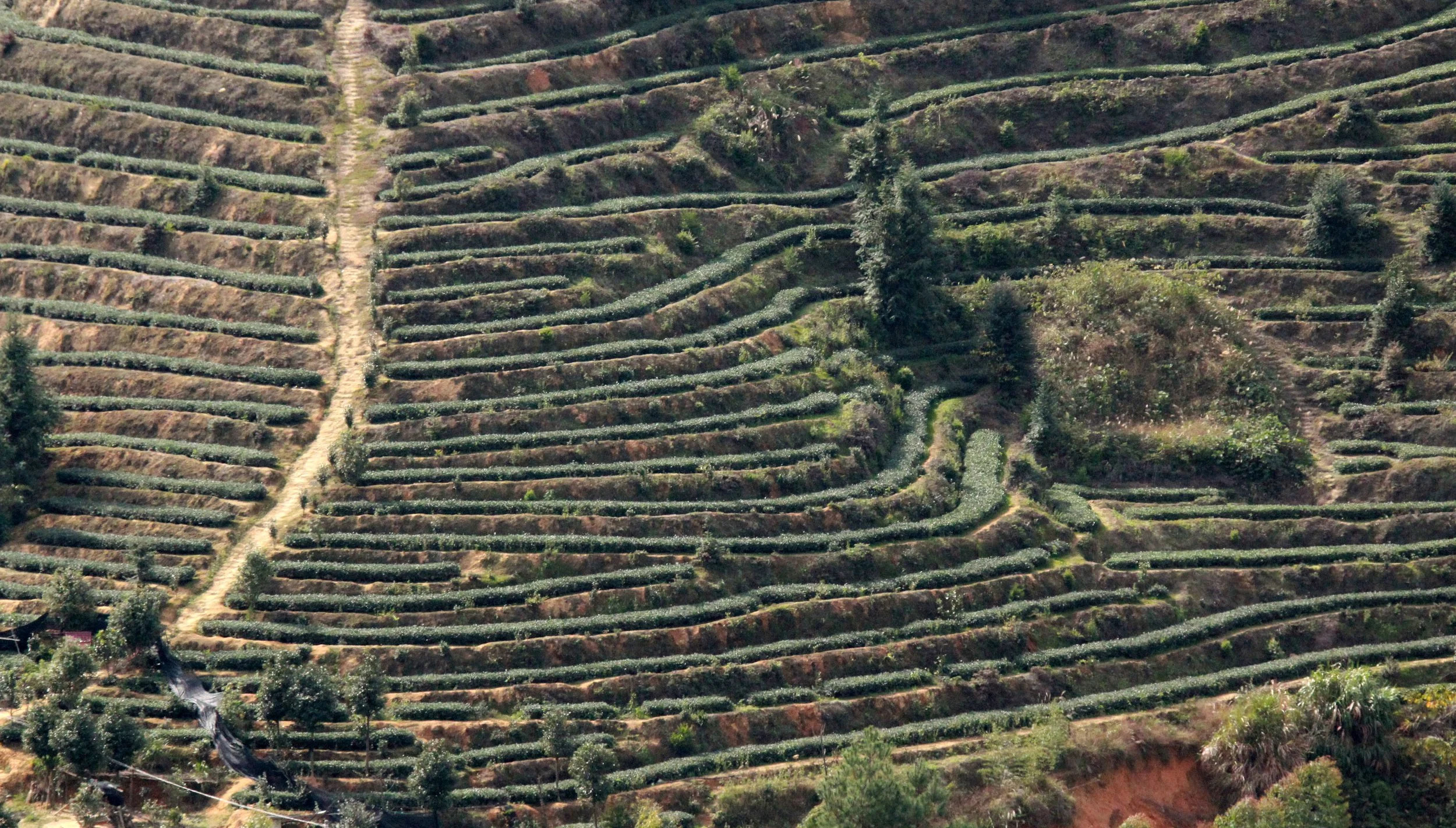 TIANLOUKENG HAKKA CLUSTER - FUJIAN CHINA (29).JPG