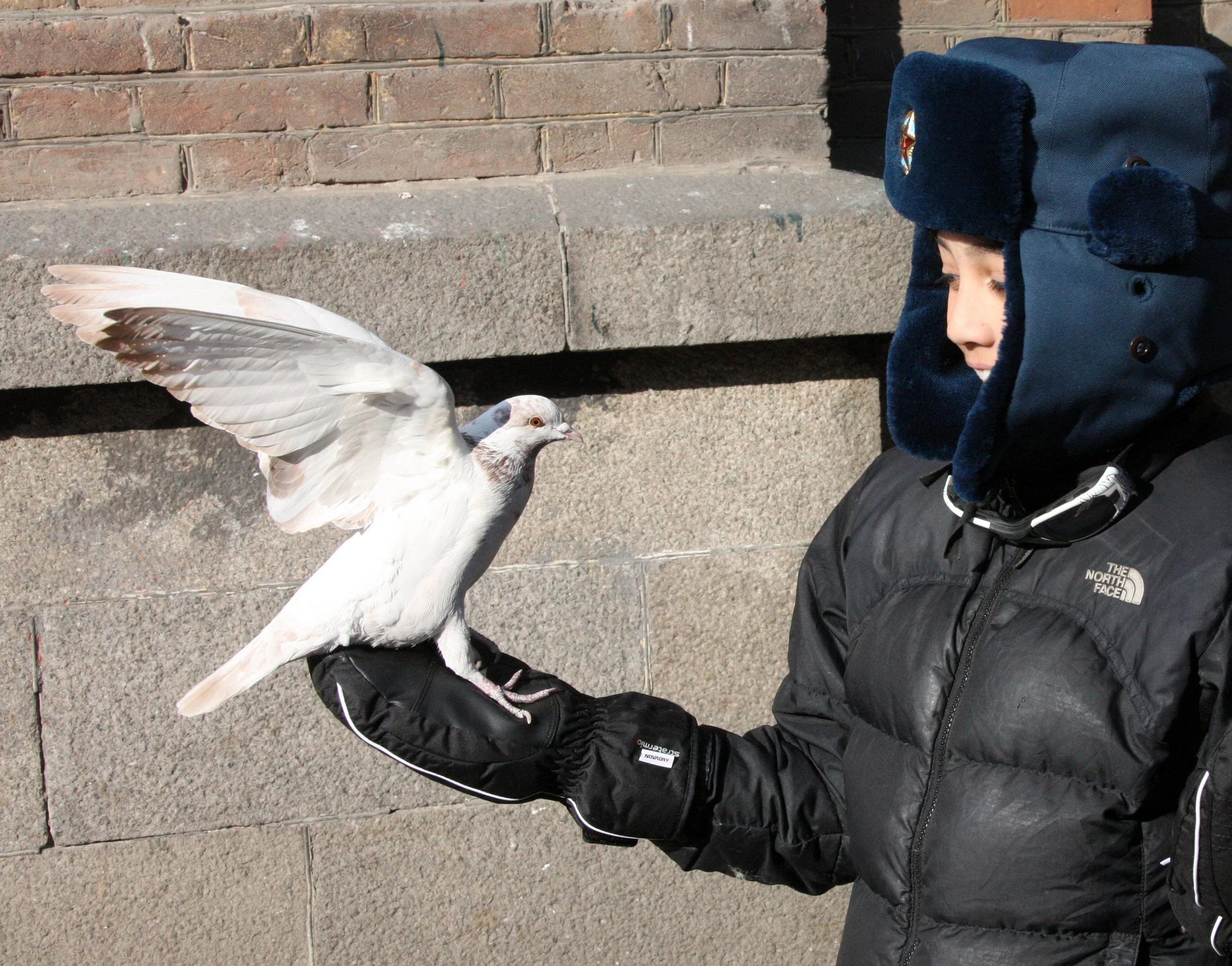 BIRD - PIGEON - HARBIN SAINT SOPHIA'S CATHEDRAL CHINA (62).JPG