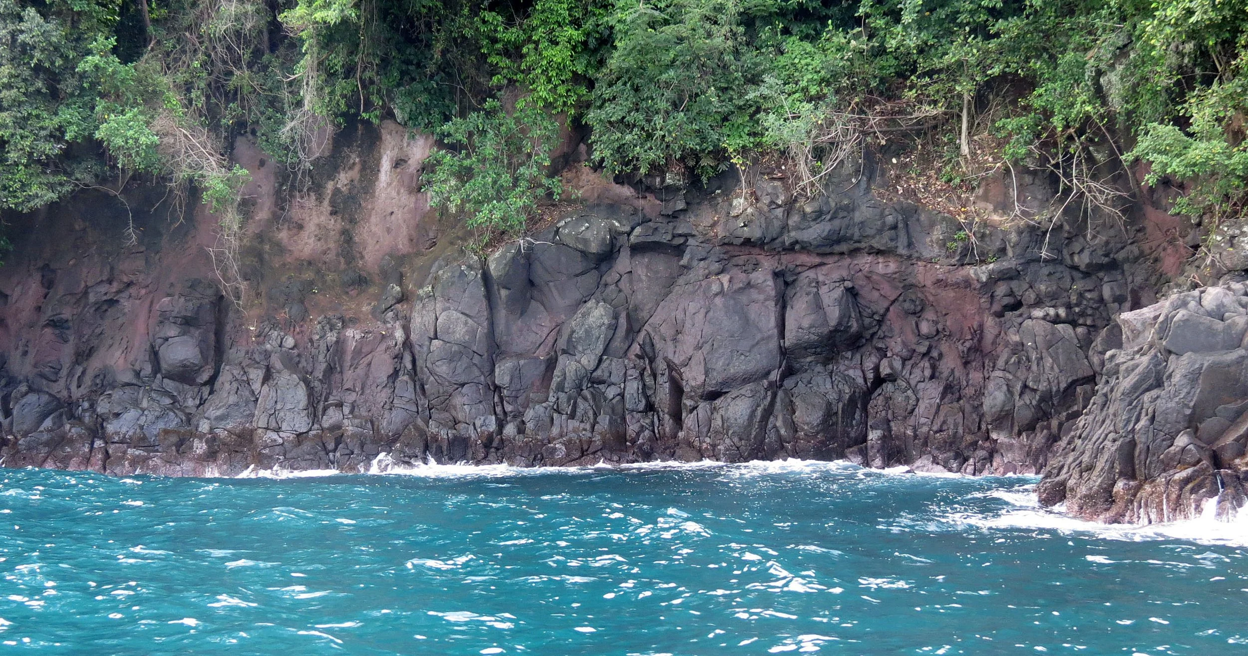 TANGKOKO NATIONAL PARK, SULAWESI INDONESIA  (28).JPG