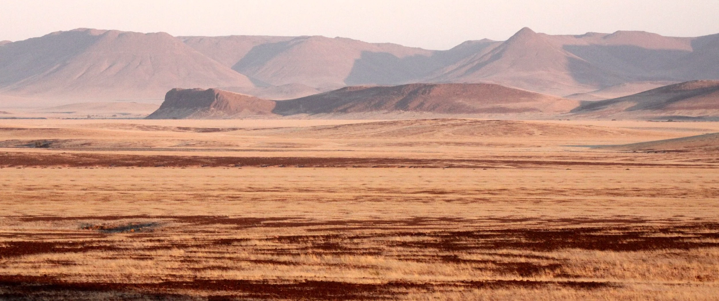 NAMIBIA - SKELETON COAST NATIONAL PARK - EAST ENTRANCE (18).JPG