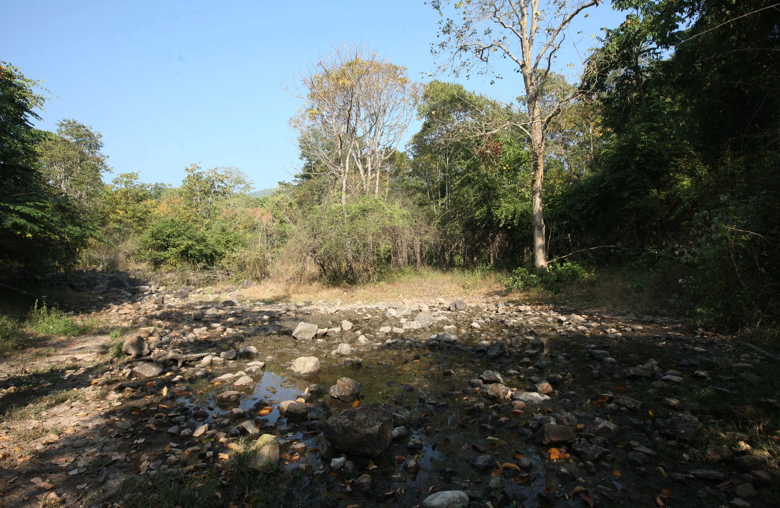 2014 Huai Kha Khaeng Bruce Kekule Trip (105).JPG