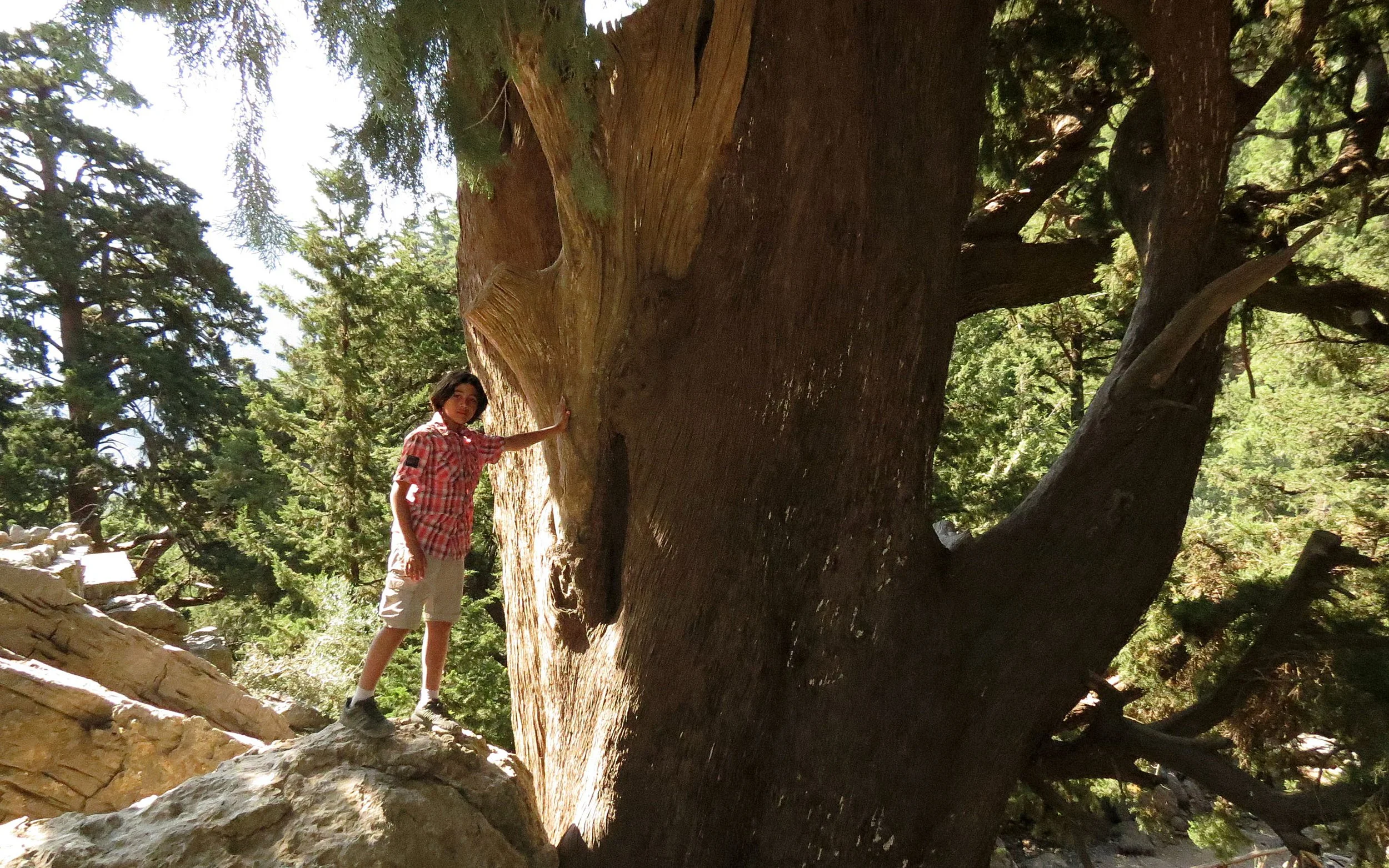 SAMARIA GORGE NATIONAL PARK CRETE, GREECE (7).JPG