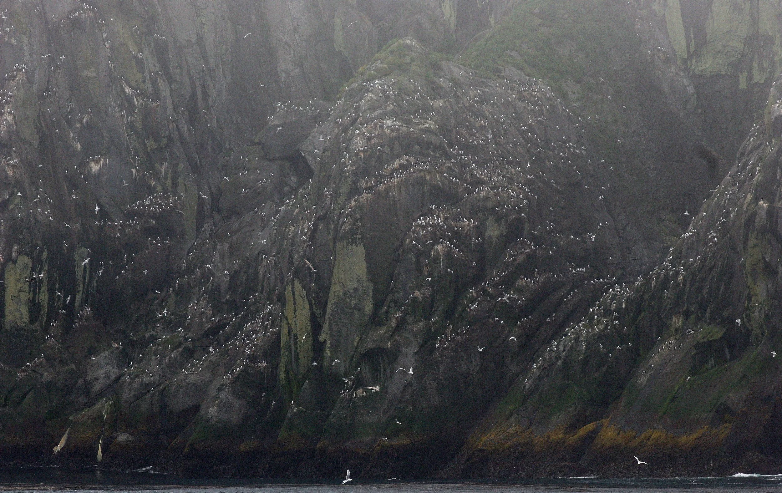KURIL ISLANDS - VIEW LANDSCAPES AND GEOL - RUSSIA (26).jpg