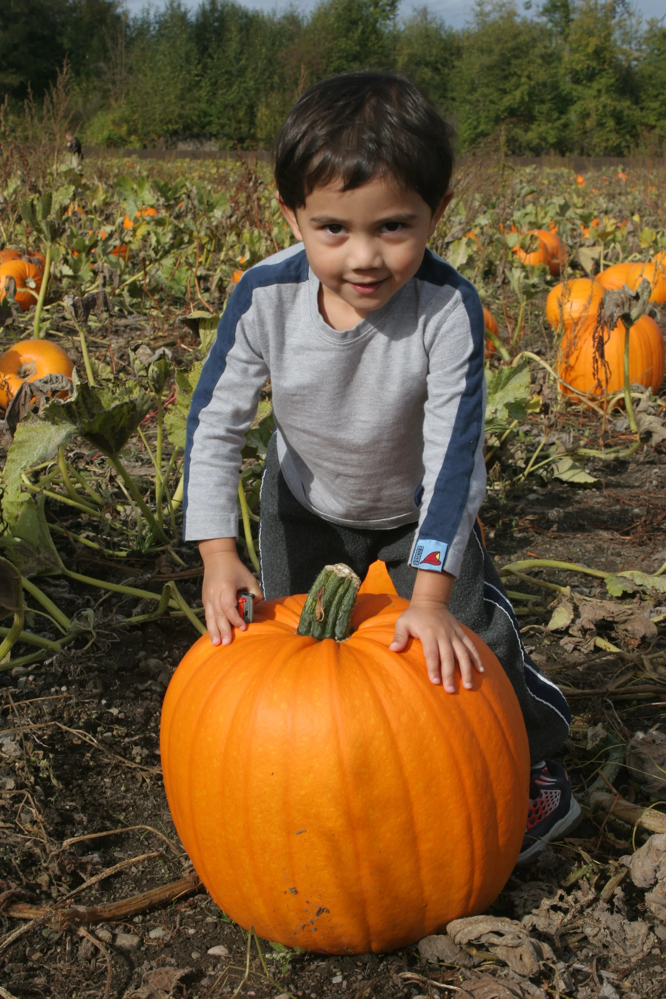 2005-6-9 PUMPKIN PATCH HALLOWEEN (5).JPG