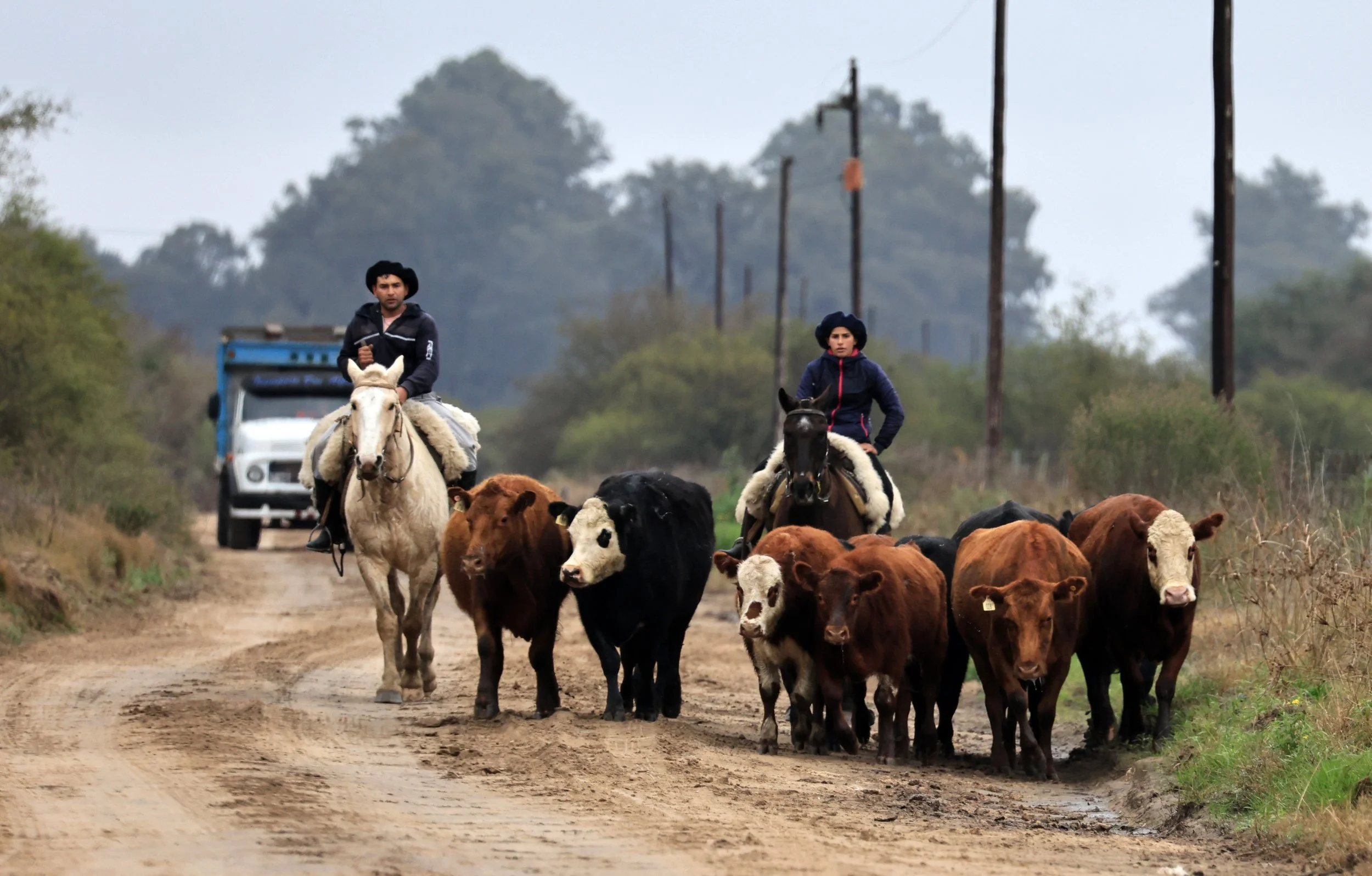 Rural life up close.  Here we see a Gaucha in training.