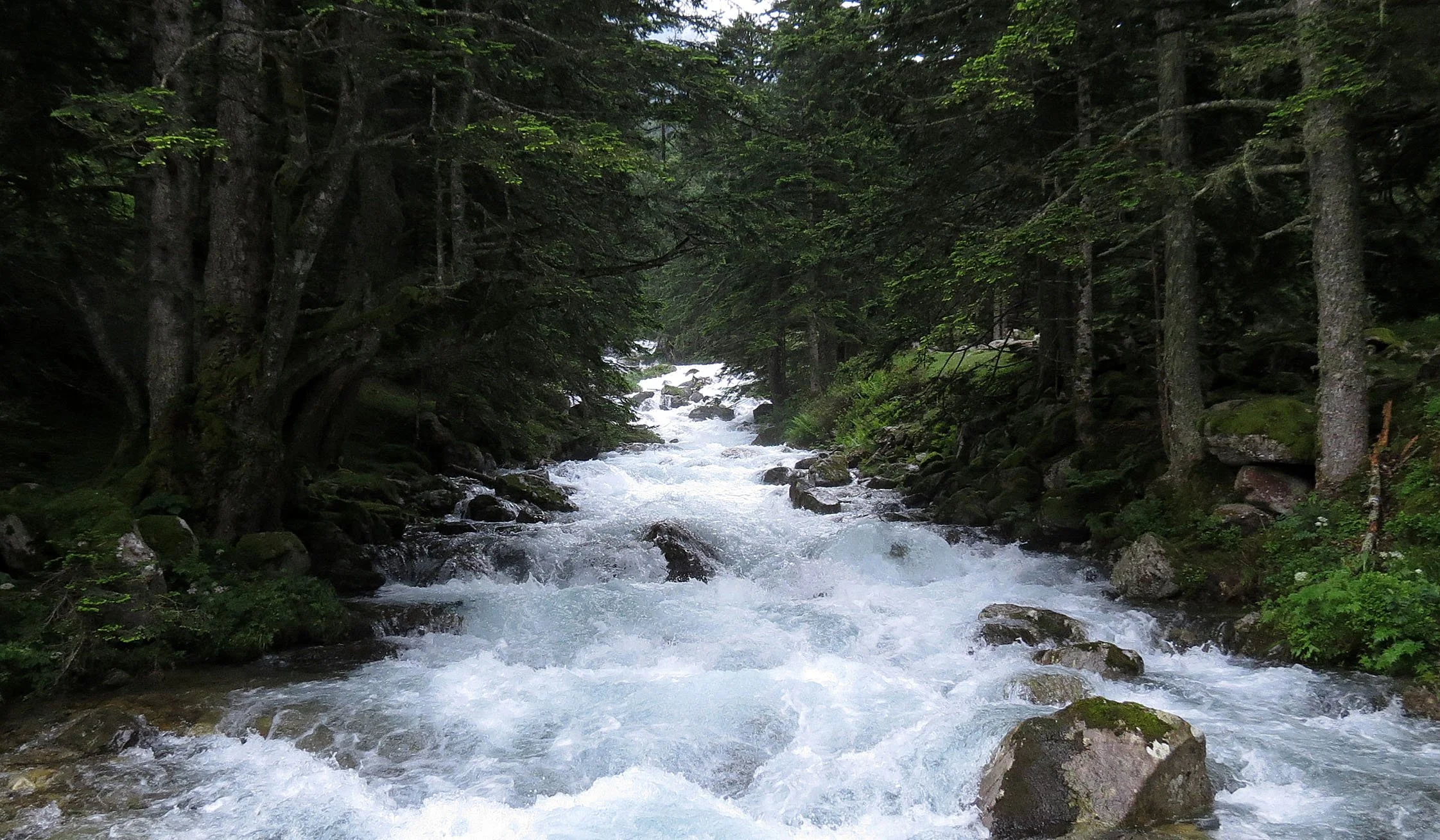 ARRENS - MARSOUS - PYRENEES NATIONAL PARK FRANCE (49).JPG