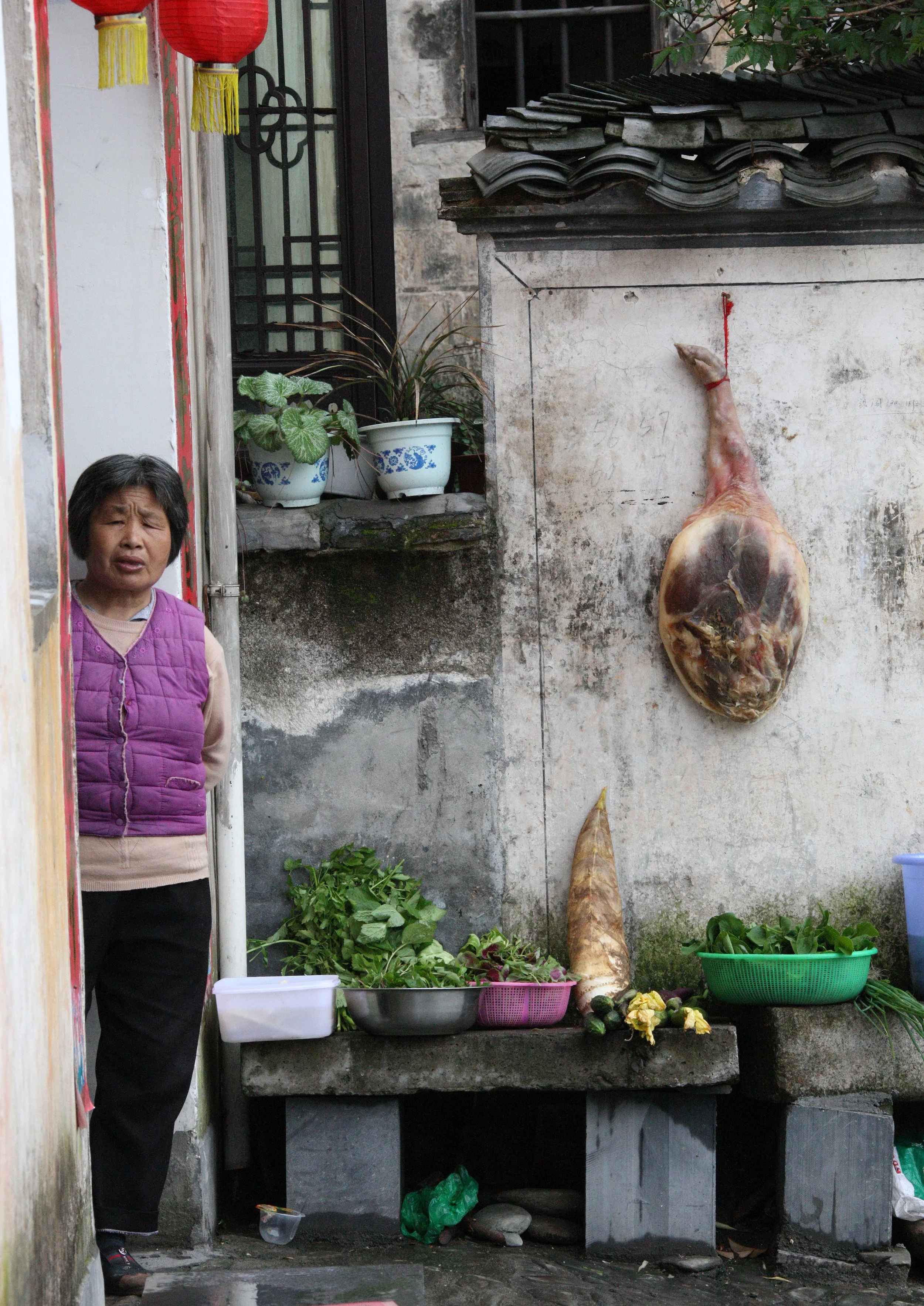 HONGCUN VILLAGE - ANHUI PROVINCE CHINA (129).JPG