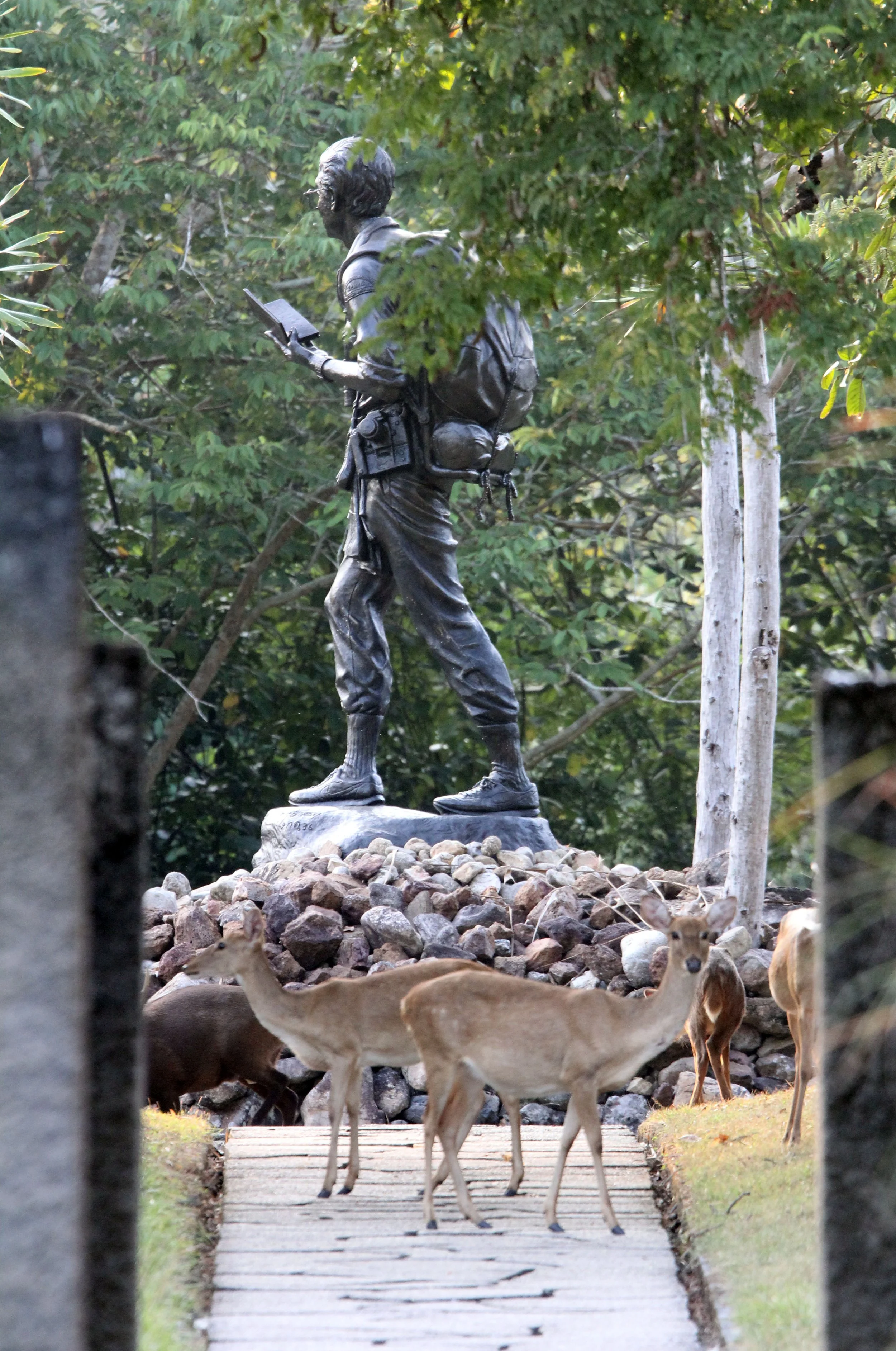 2014 Huai Kha Khaeng Bruce Kekule Trip (40).JPG