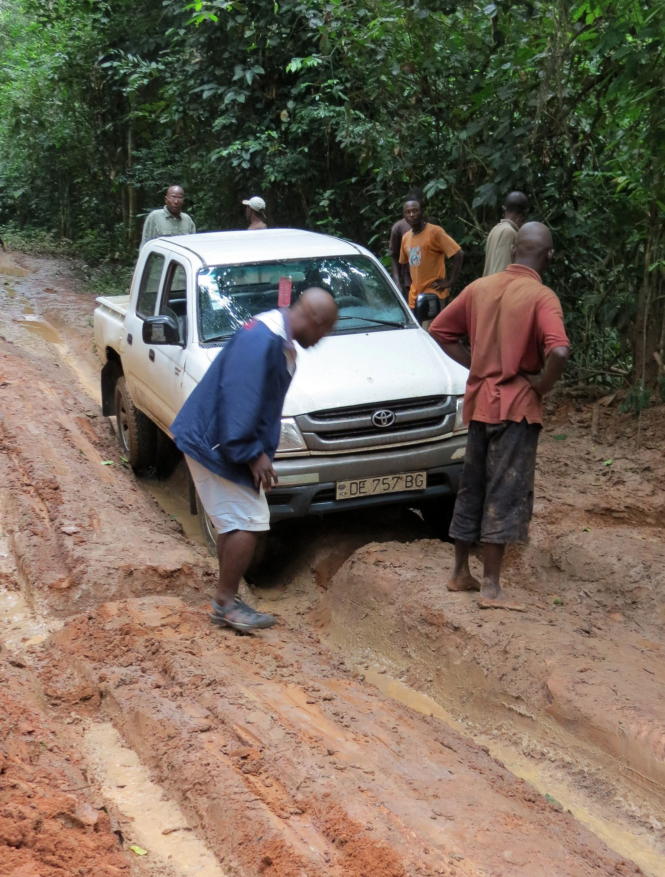 DZANGA NDOKI NATIONAL PARK  - CENTRAL AFRICAN REPUBLIC (16).JPG