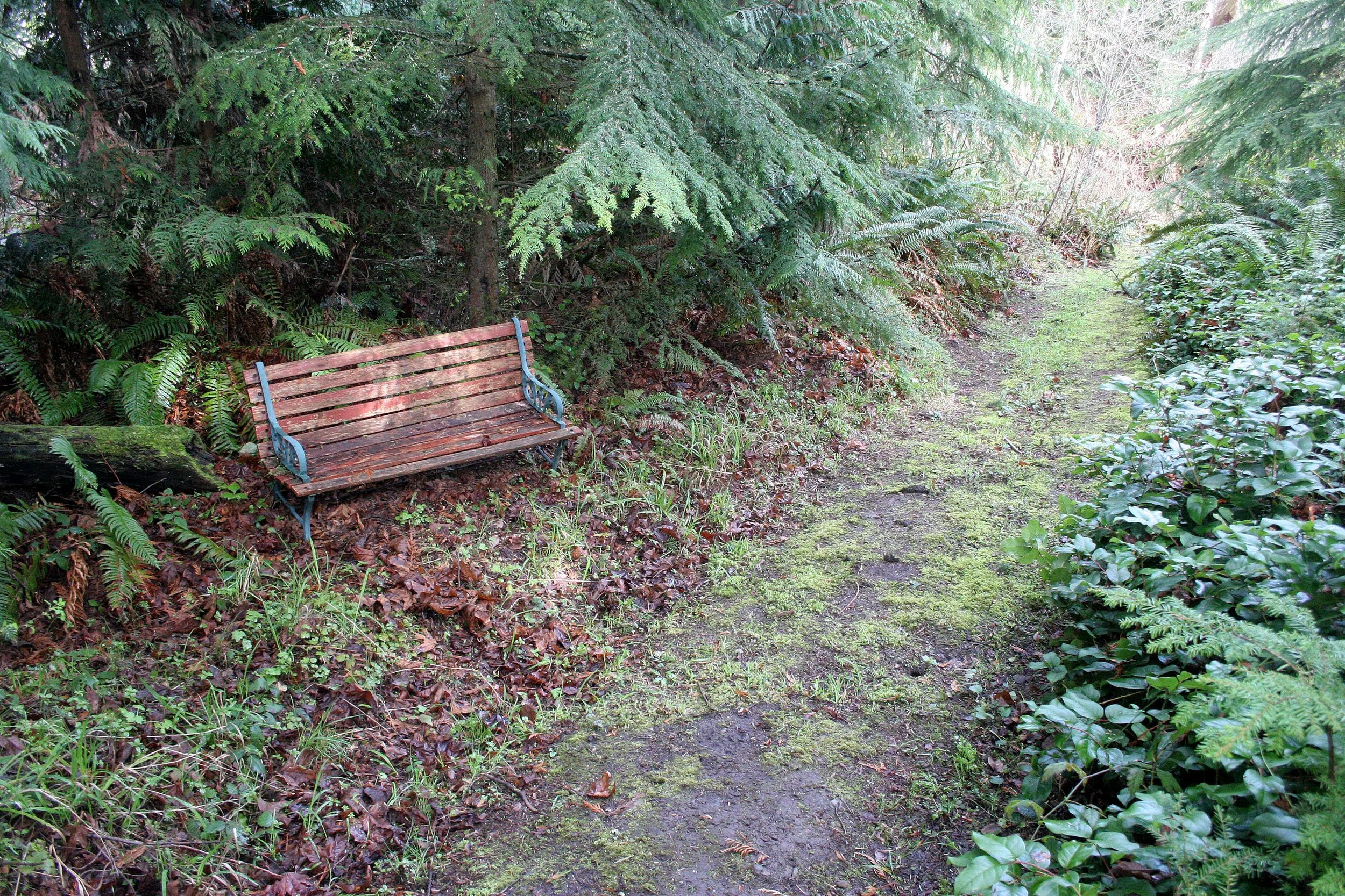 2008-4-19 LAKE FARM TRAILS WALK (35).JPG