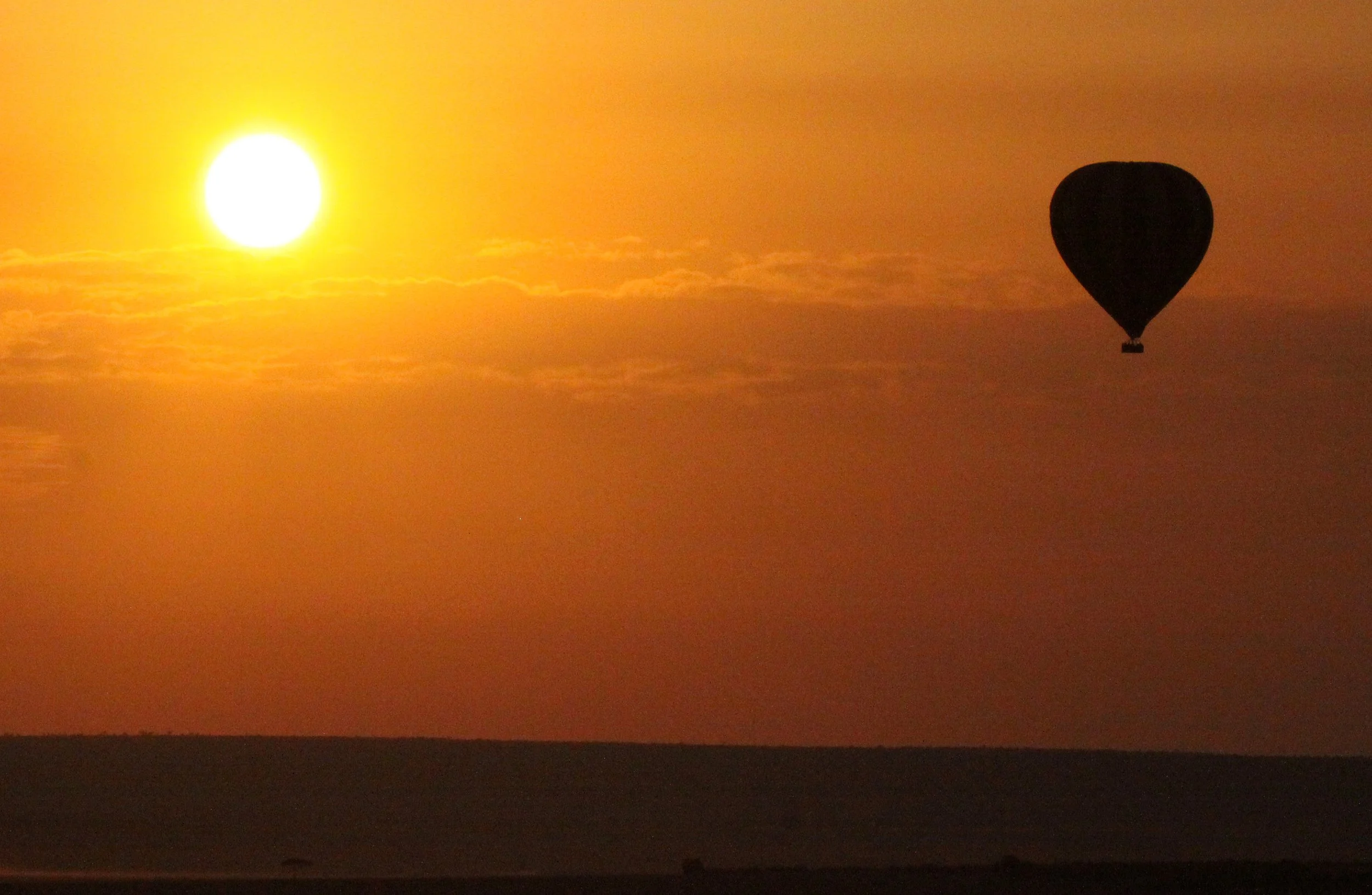MASAI MARA NATIONAL PARK KENYA (203).JPG