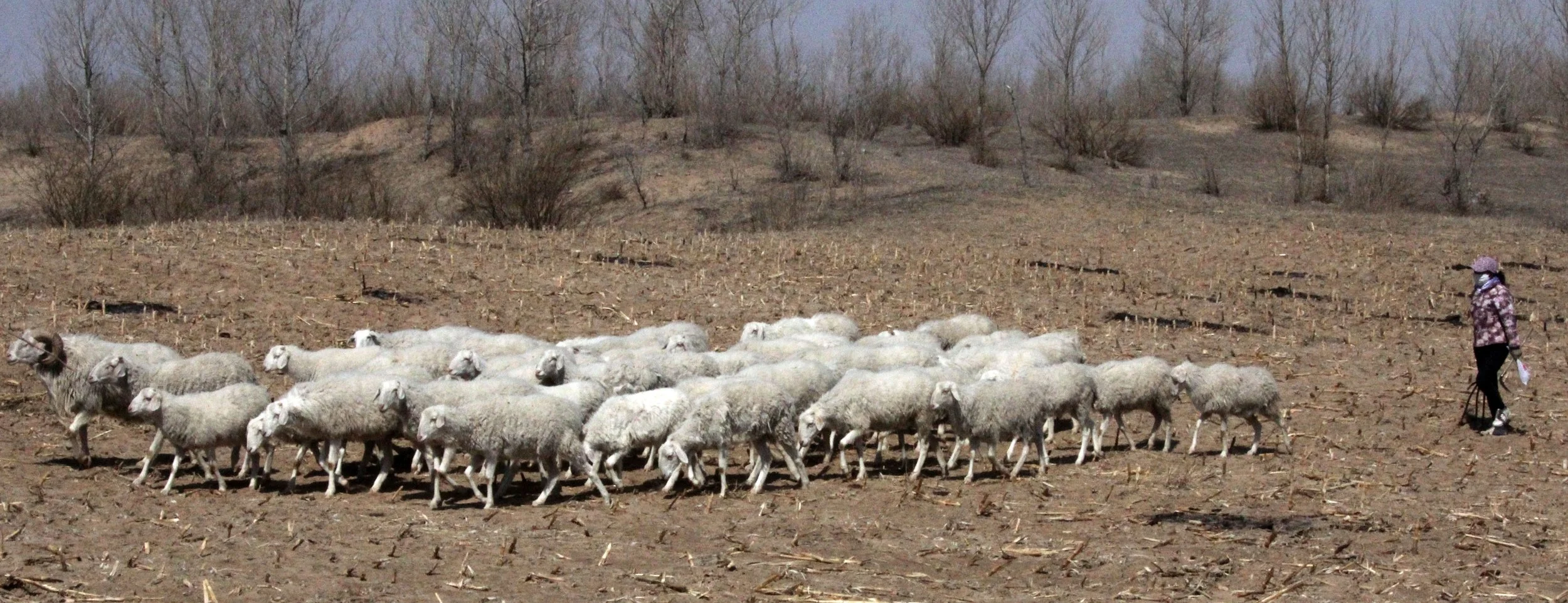 INNER MONGOLIA 2013 (798).JPG