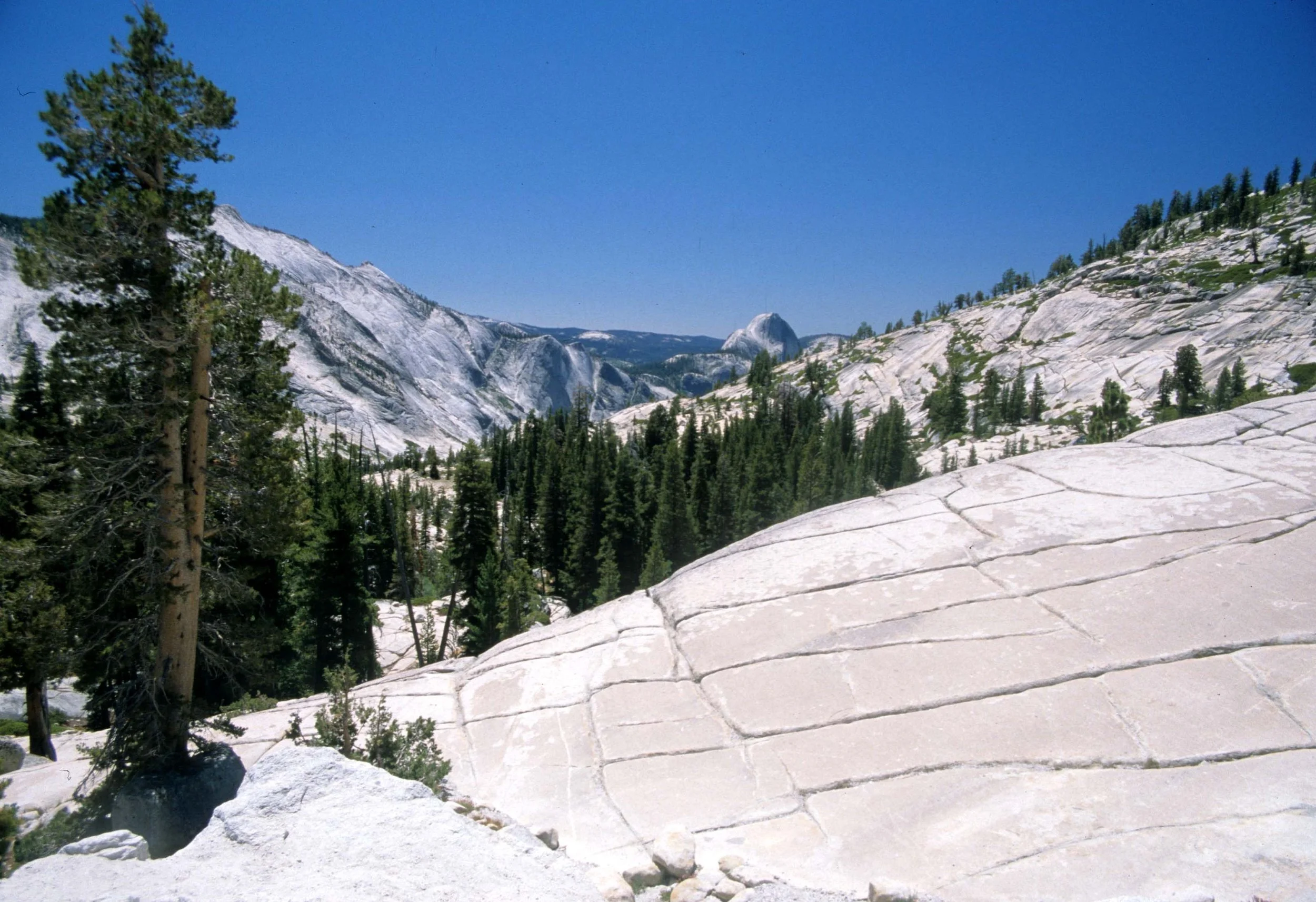CALIFORNIA - YOSEMITE - EXFOLIATING GRANITE.jpg