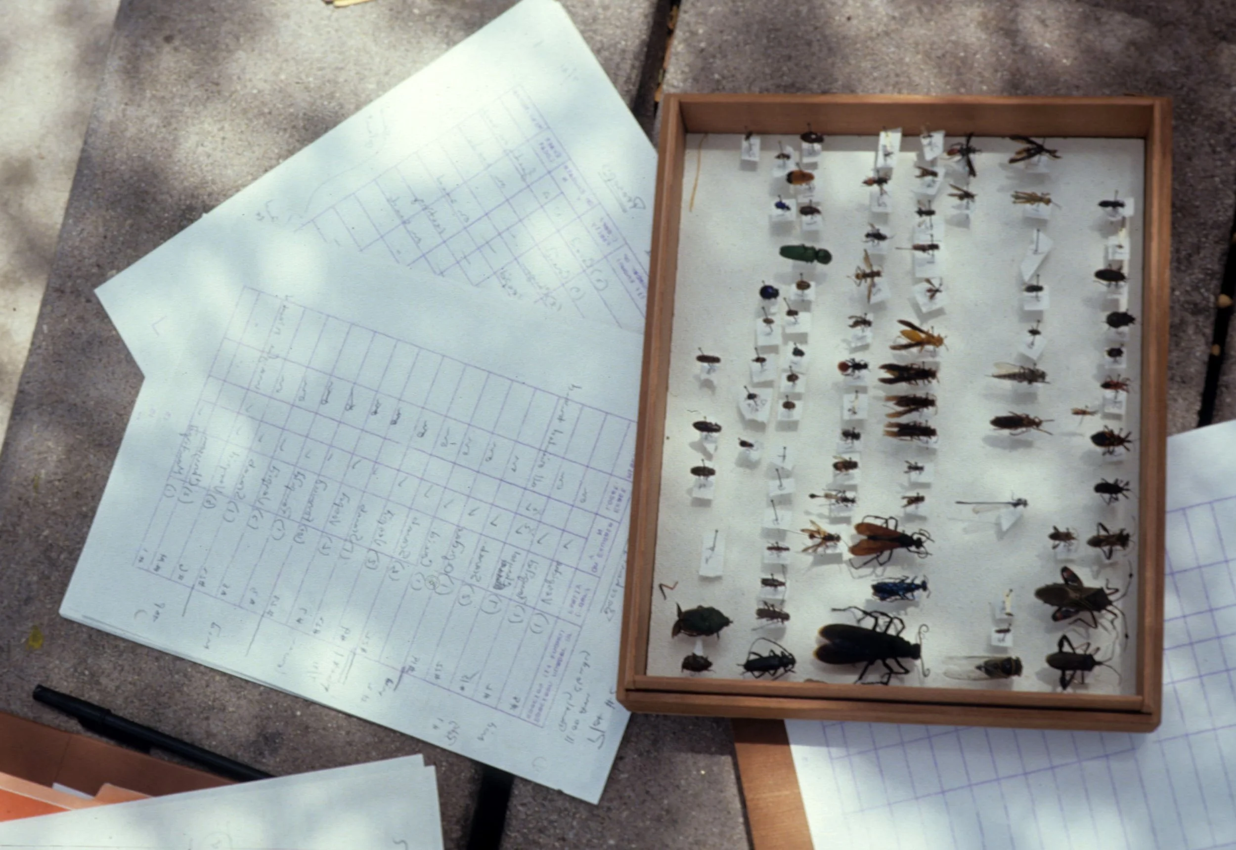 ARIZONA - MADERA CANYON - RESEARCH - DATA COLLECTION Q.jpg