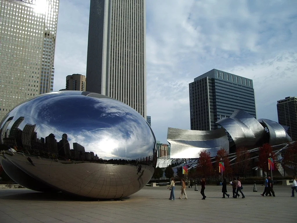 2004-11-6  CHICAGO FOR BIO TEACHERS CONFERENCE (11).JPG