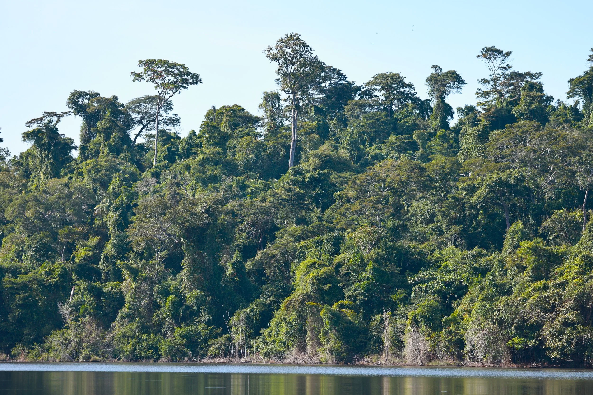 Rio Doce State Park, Minas Gereis (4).JPG
