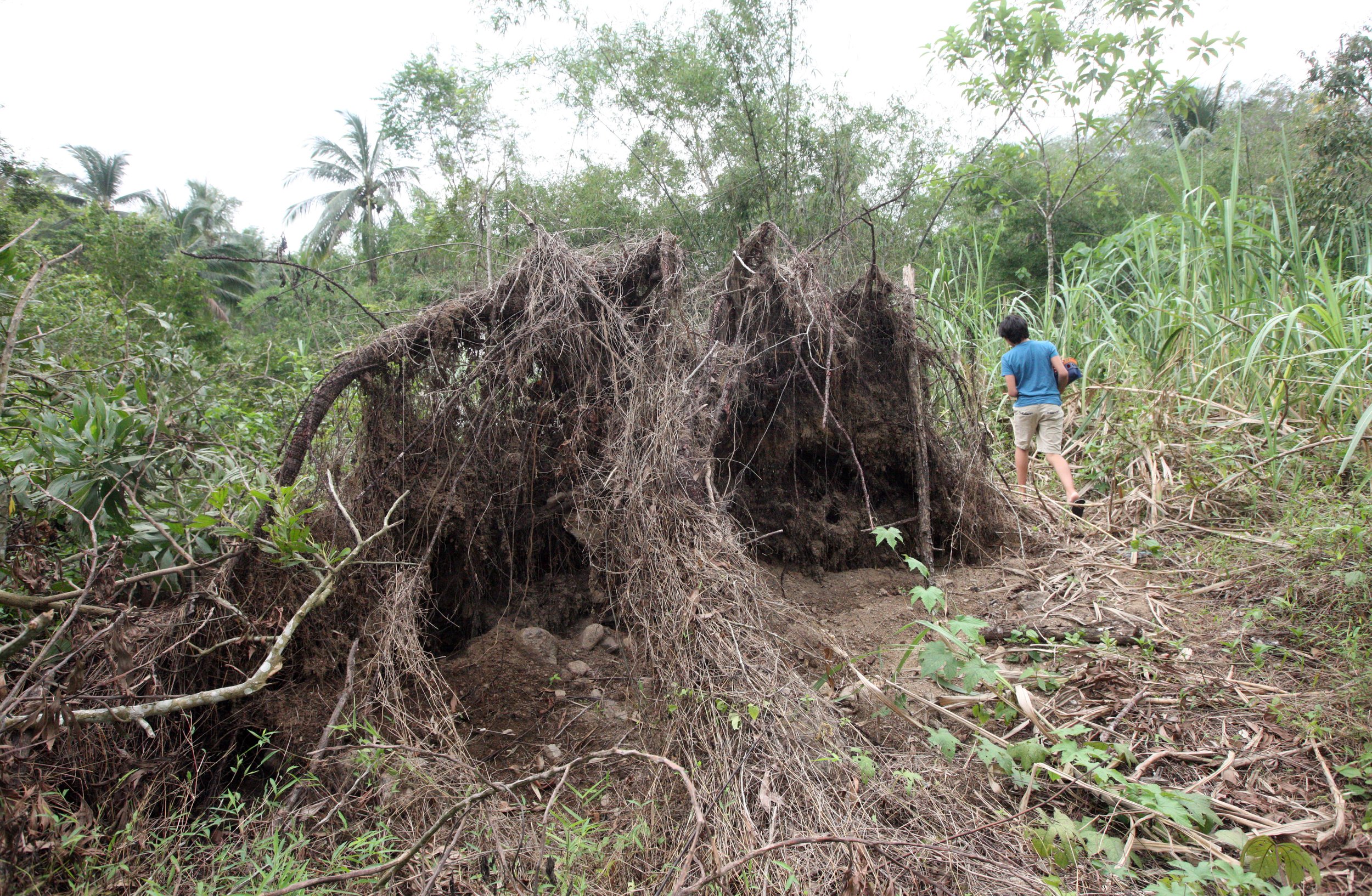 2014 Nakhonsithammarat with Family (19).JPG