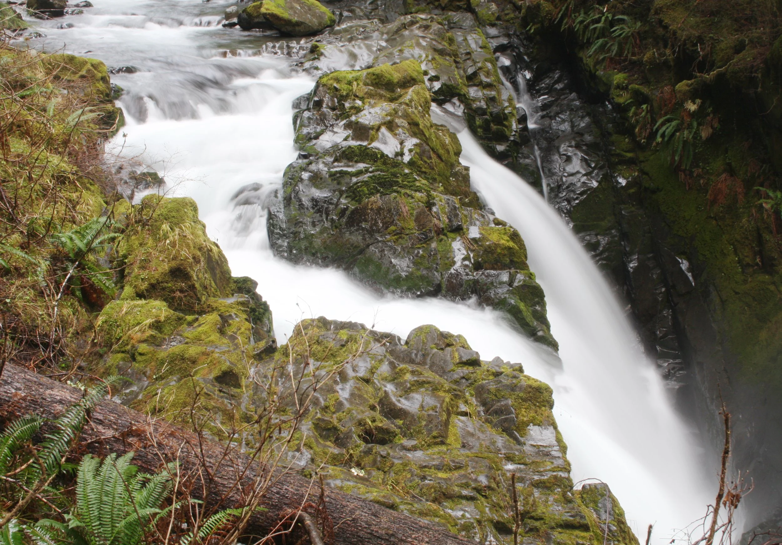 SOL DUC FALLS AND FOREST - ONP WA (37).JPG