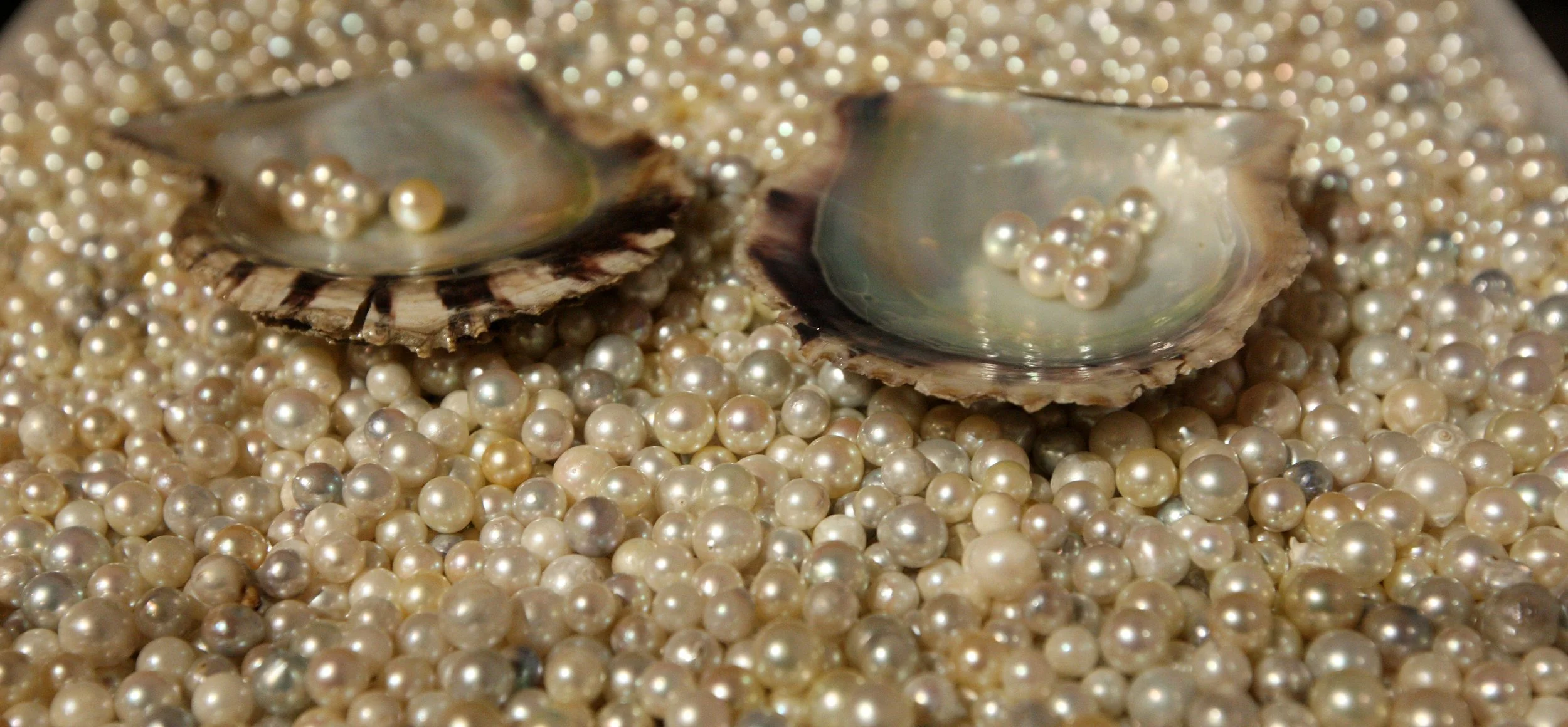 MIKIMOTO PEARL ISLAND AND MUSEUM - TOBA JAPAN (23).JPG