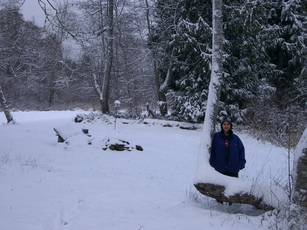 2004-1-3 LAKE FARM IN SNOW (8).JPG