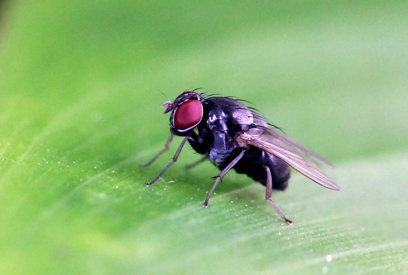 Nonthaburi, Thailand