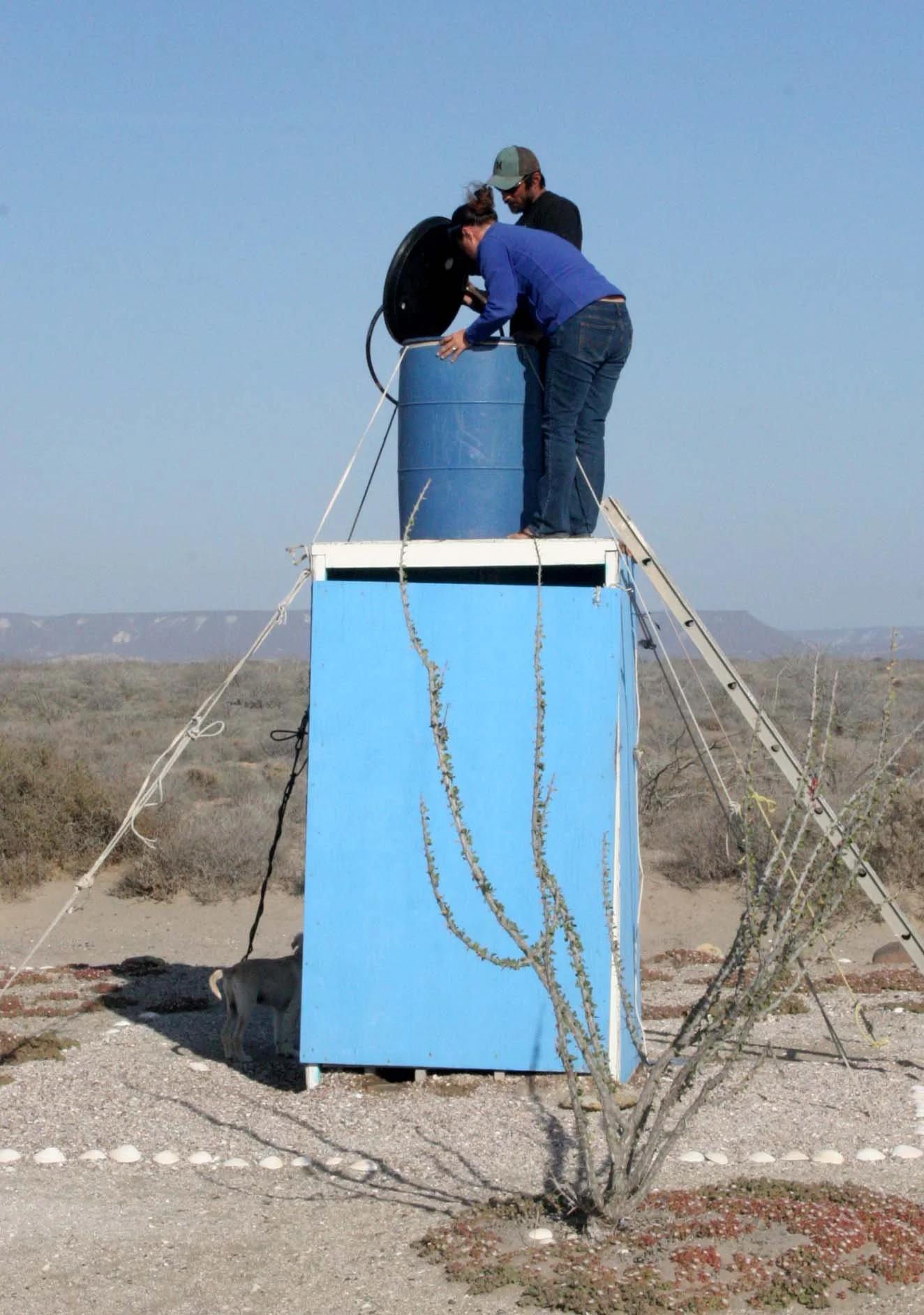 SAN IGNACIO LAGOON BAJA MEXICO - PACHICOS CAMP (2).JPG