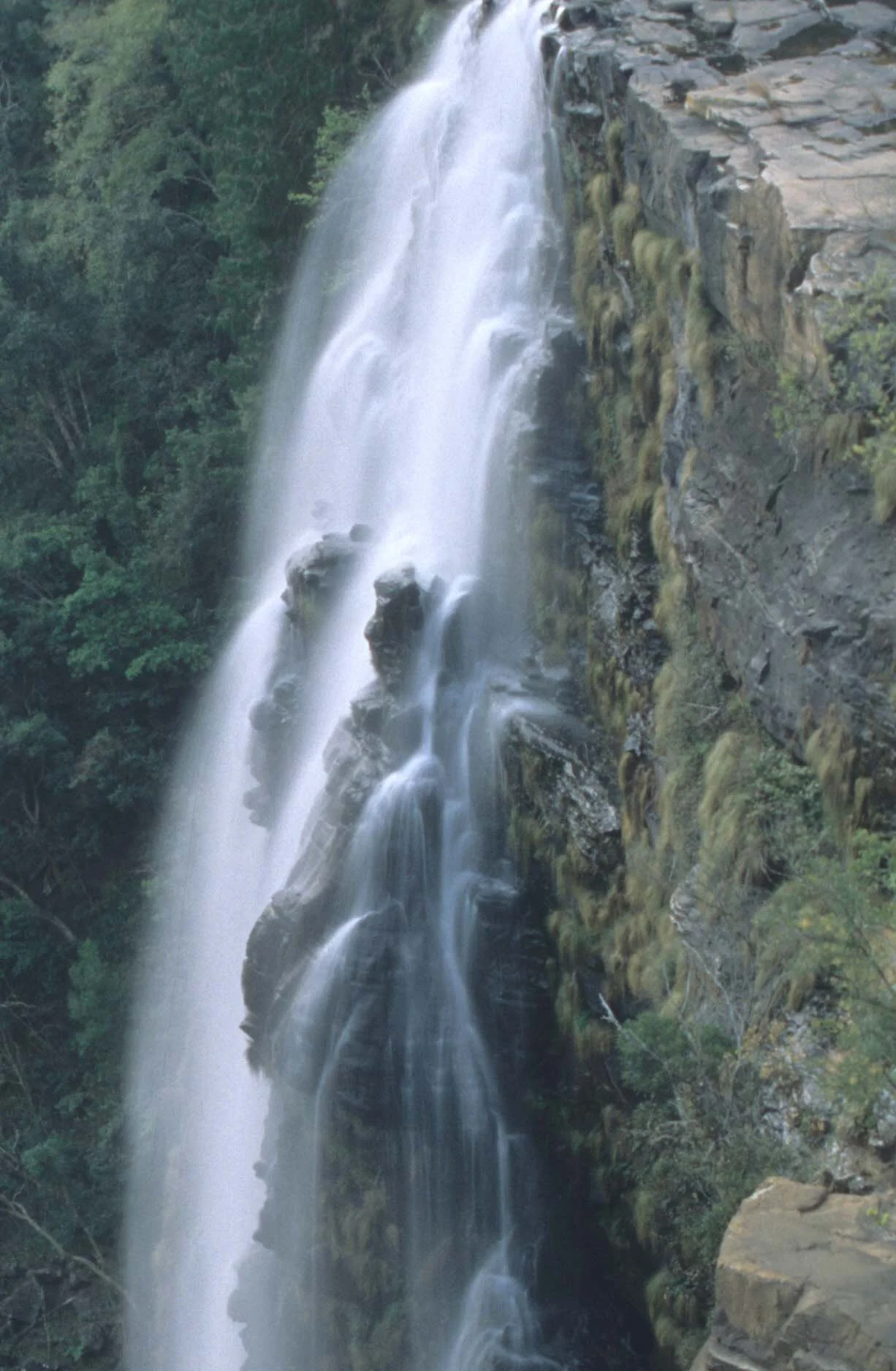 KRUGER - MAC MAC FALLS B1.jpg