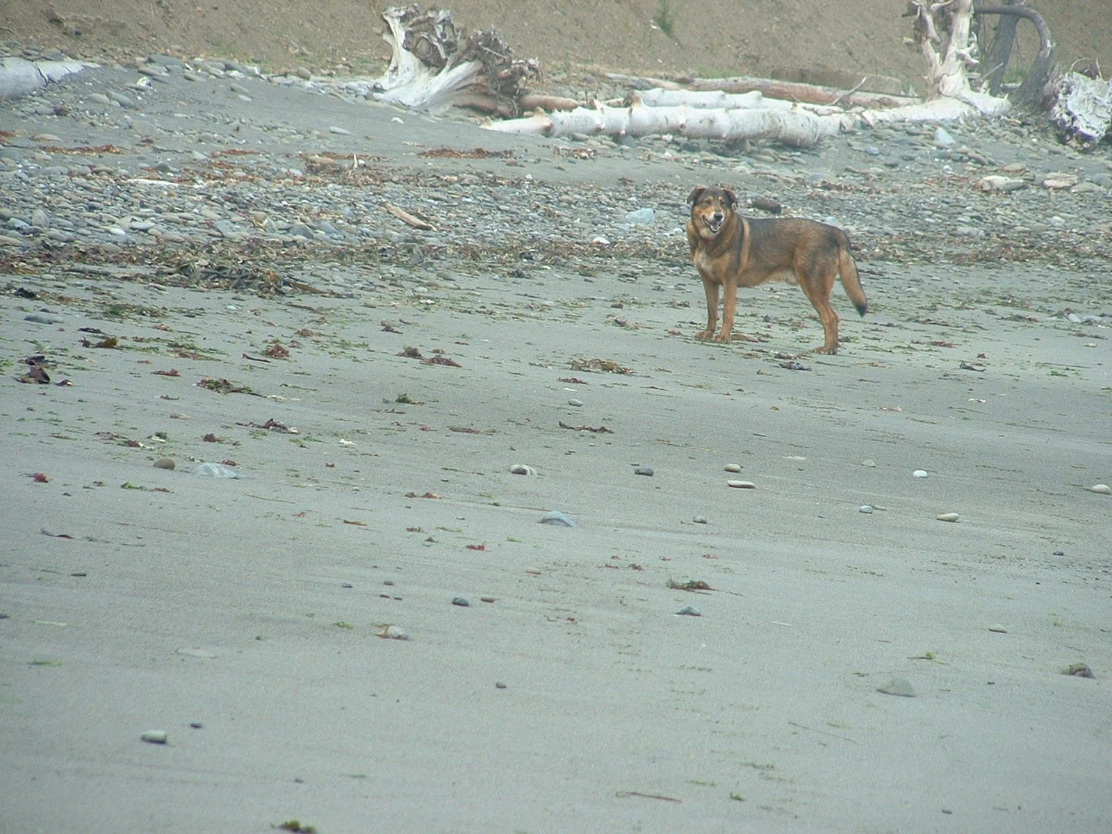 2003-8-1 WASHINGTON VISIT FROM ROBINSONS ET AL (22).JPG