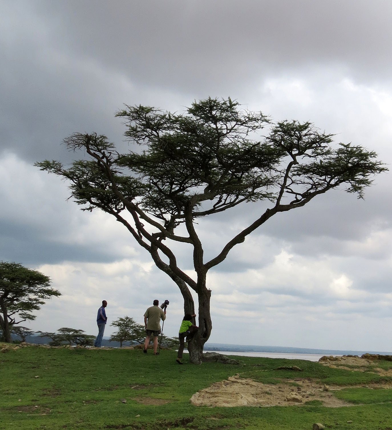 LANGANO LAKE ETHIOPIA - BISHANGARI LODGE AND SURROUNDING FOREST (33).JPG