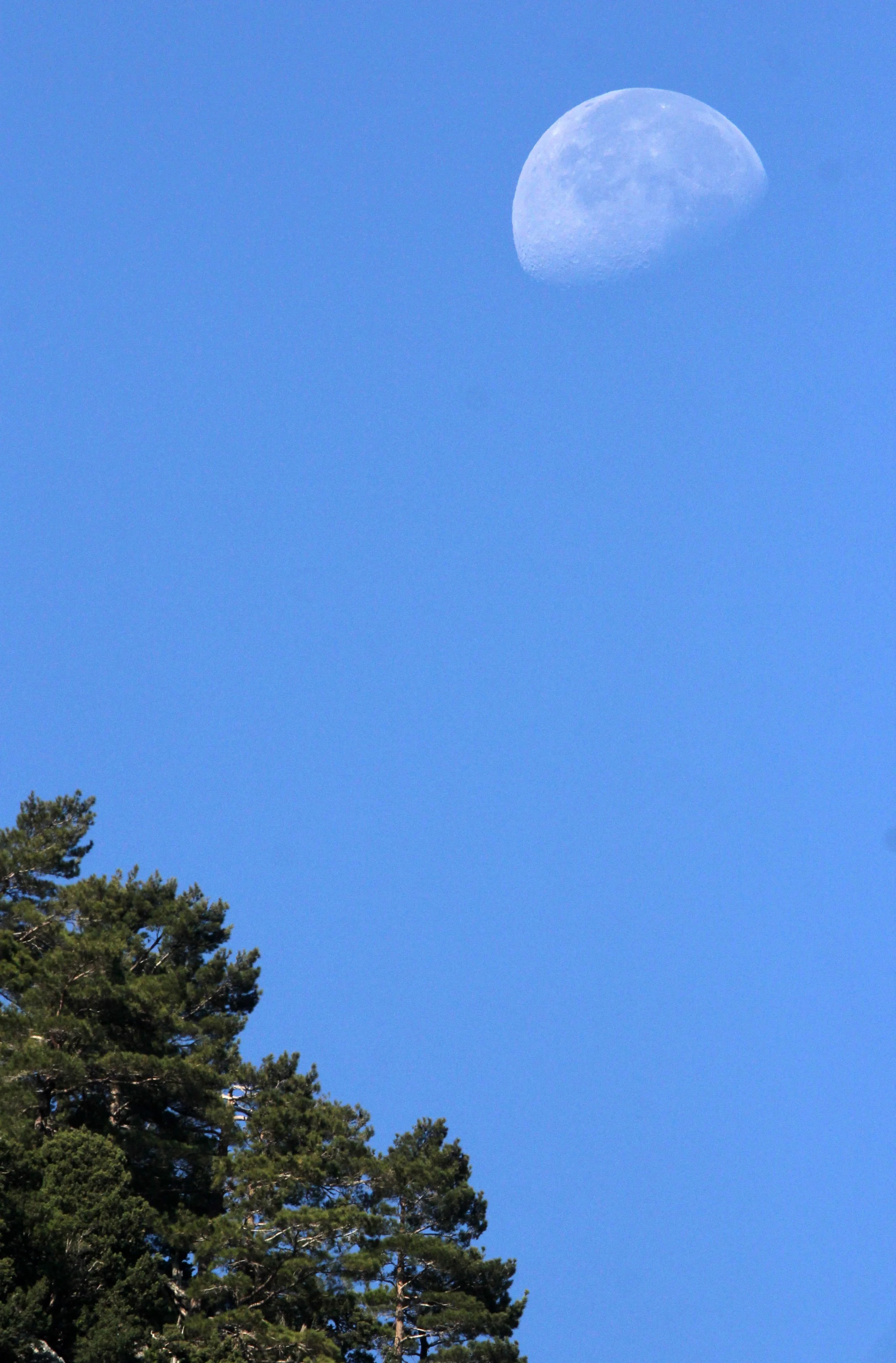 SAMARIA GORGE NATIONAL PARK CRETE GREECE (24).JPG