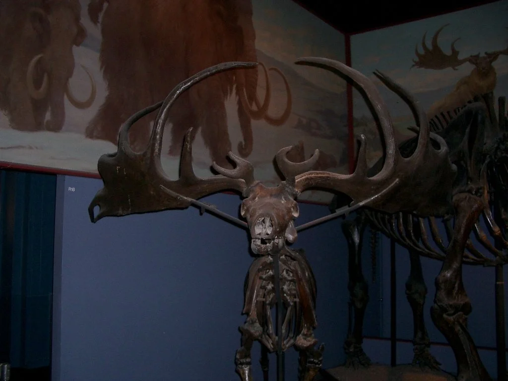 2003-12-25 CHRISTMAS IN CHICAGO (45).JPG