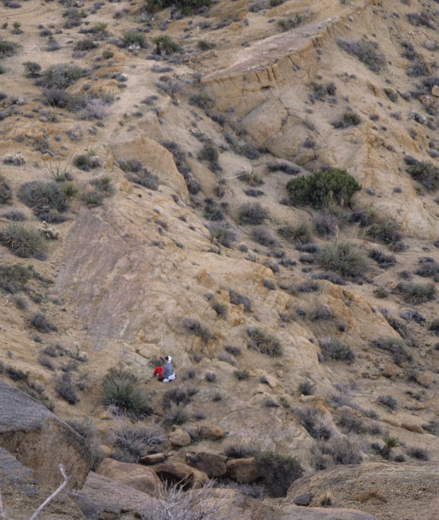 ANZA BORREGO - DESERT VIEW A.jpg