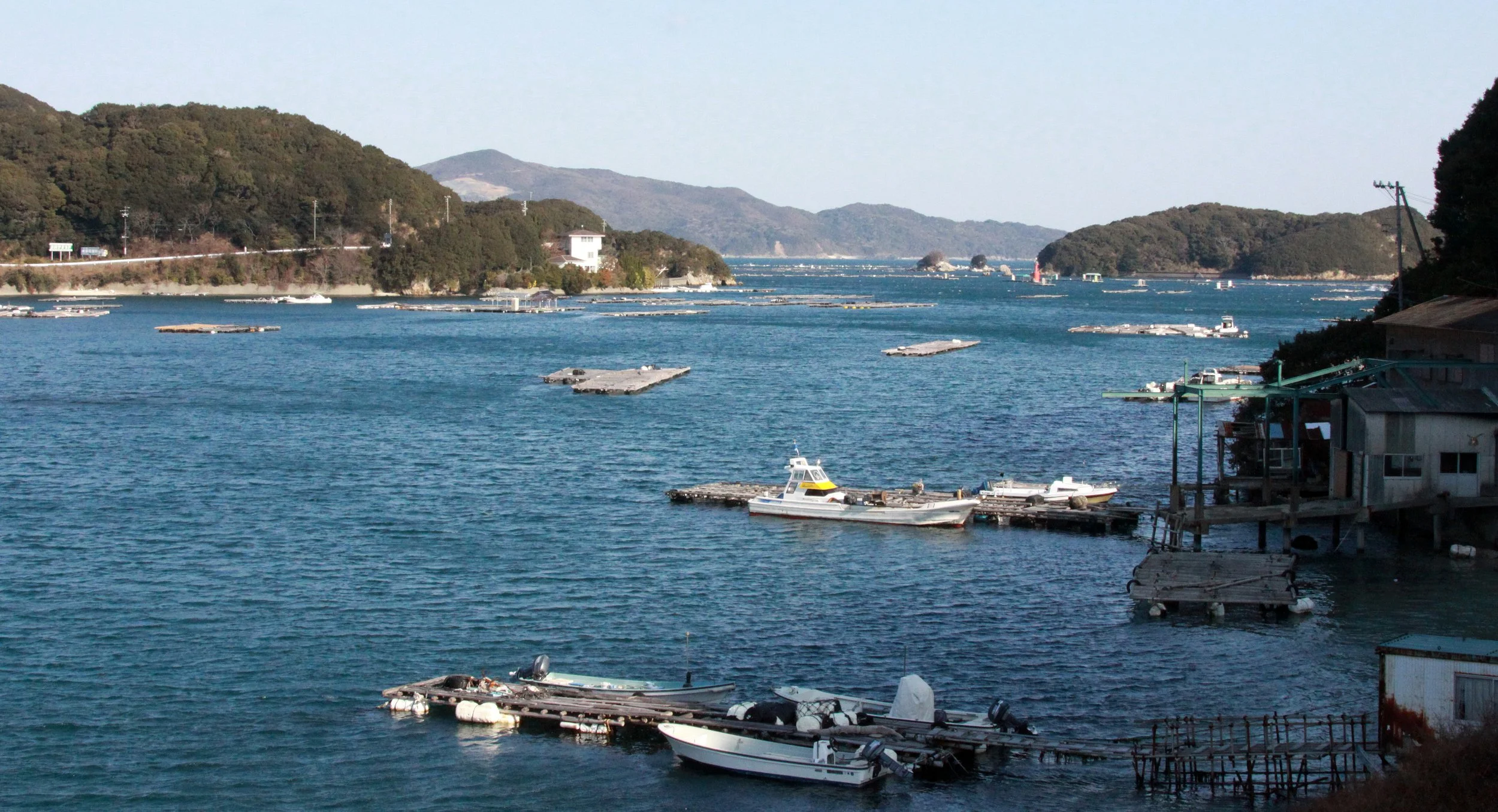 TOBA HARBOR JAPAN (1).JPG