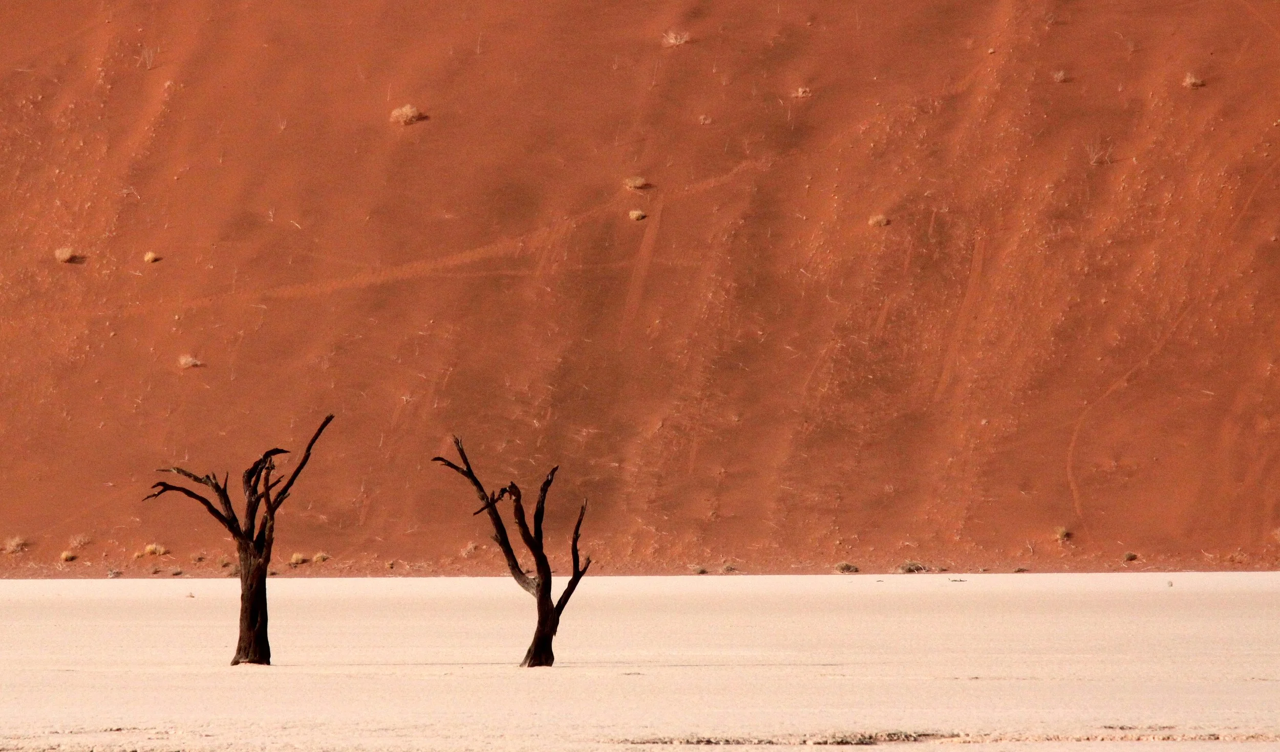 SOSSUSVLEI, NAMIB NAUKLUFT NATIONAL PARK, NAMIBIA - DEAD VLEI (77).JPG