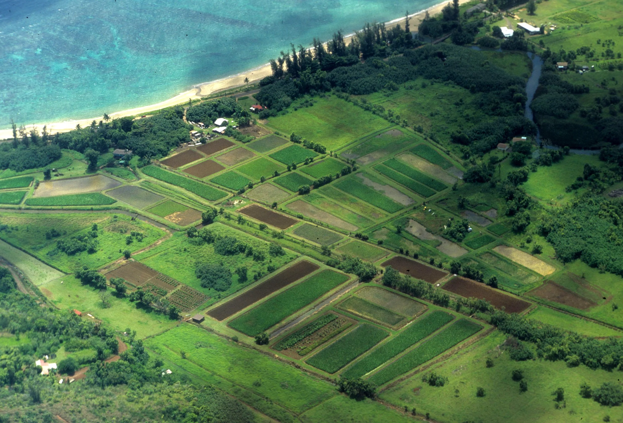 HAWAII - HAWAII - HEIAU (2).jpg